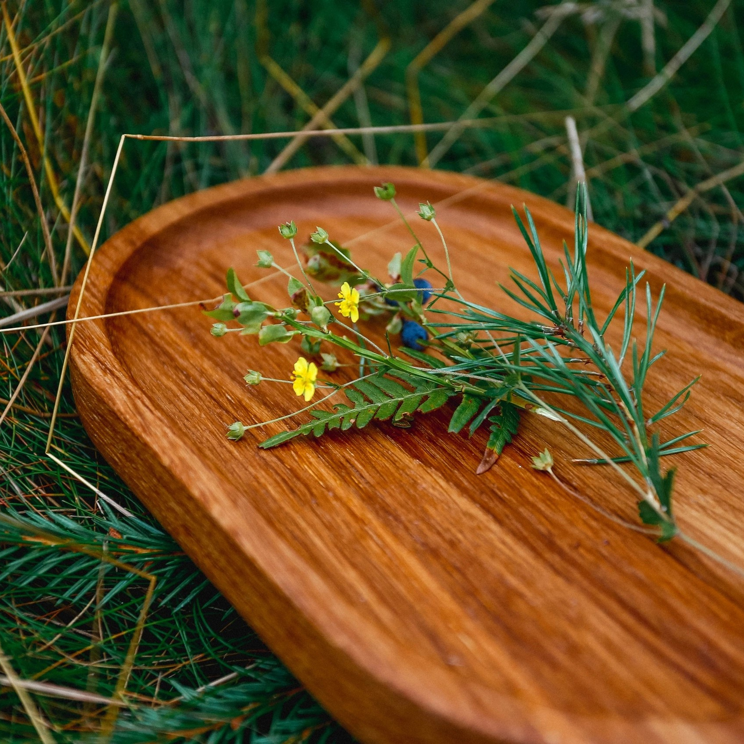 Сервировочный поднос