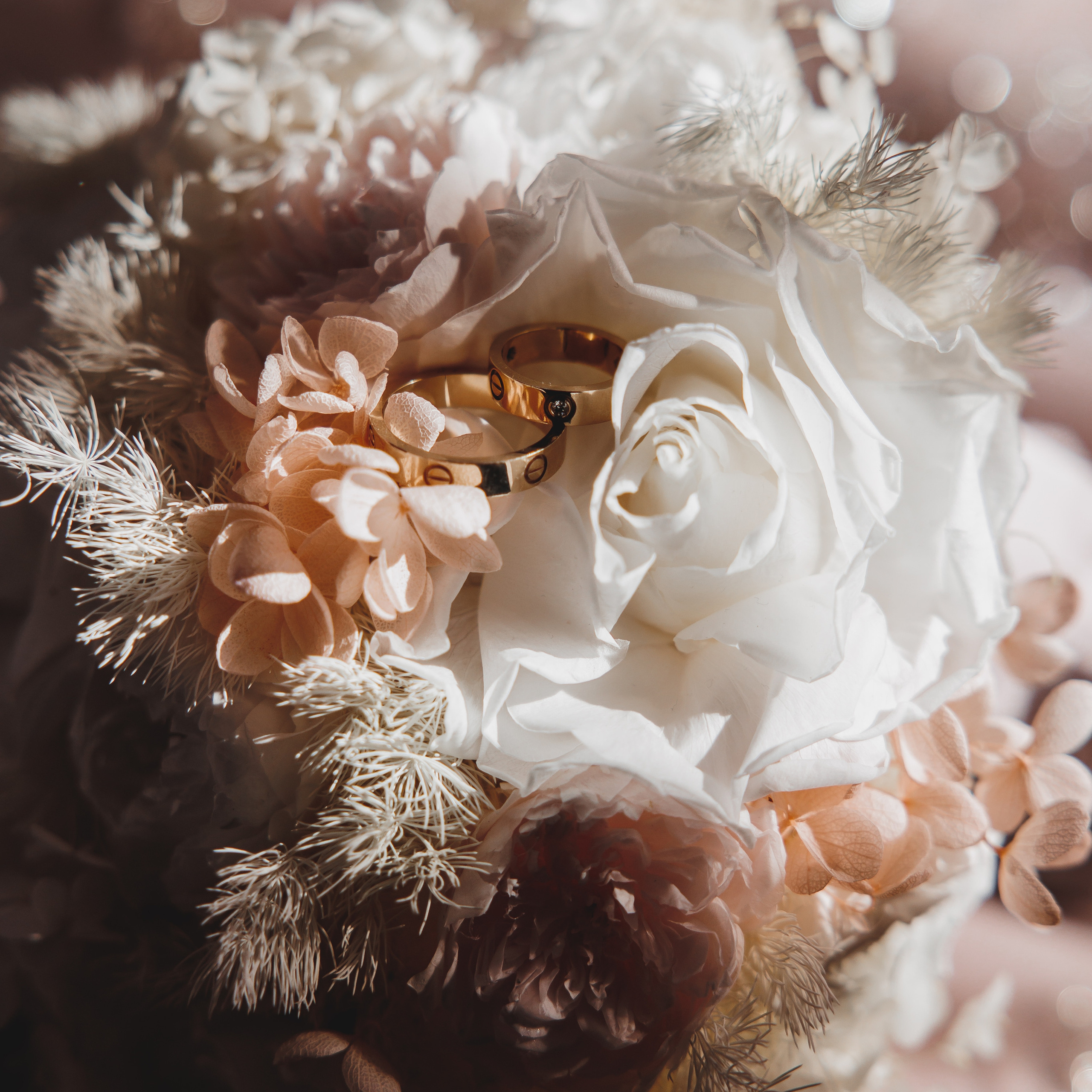 Отзывы. Свадебный и семейный фотограф в Сочи Василина Ломакина