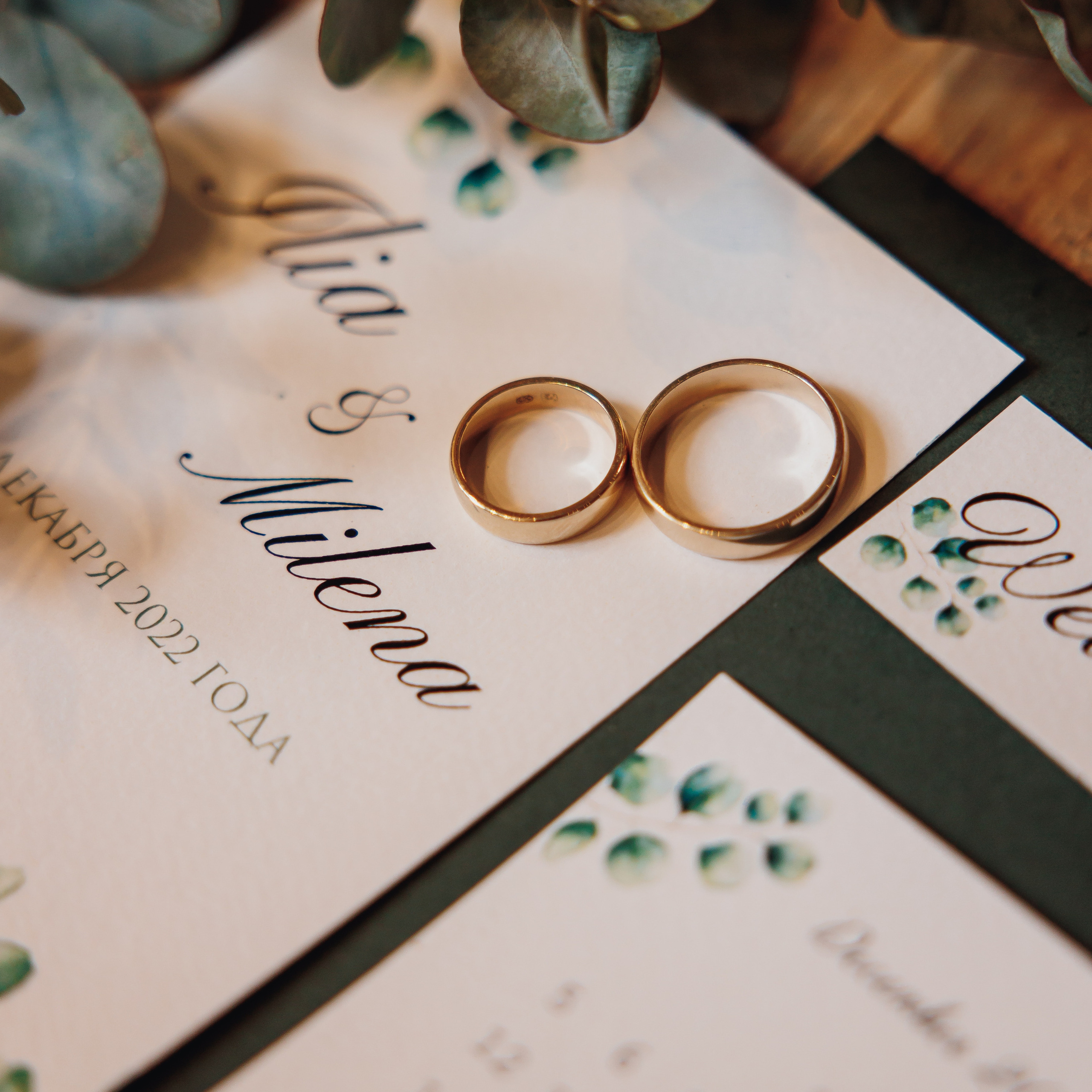 Отзывы. Свадебный и семейный фотограф в Сочи Василина Ломакина