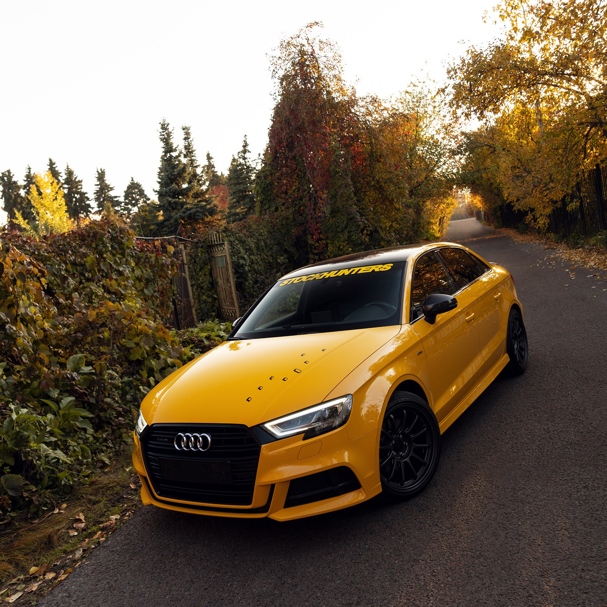 Блог. Базилев Александр | Фотограф, Москва