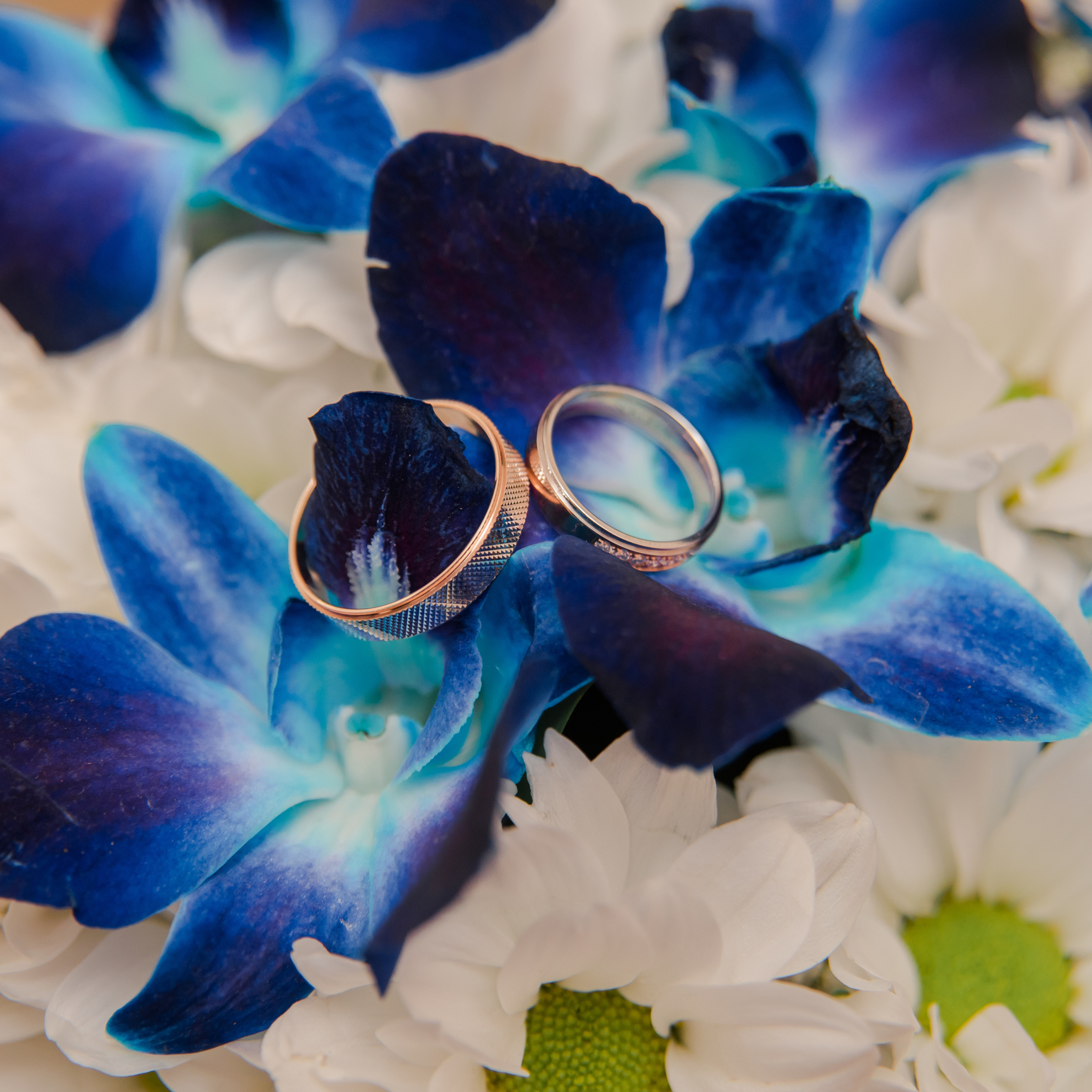 Reviews. Wedding and family photographer in St. Petersburg Nastasya Lebedeva