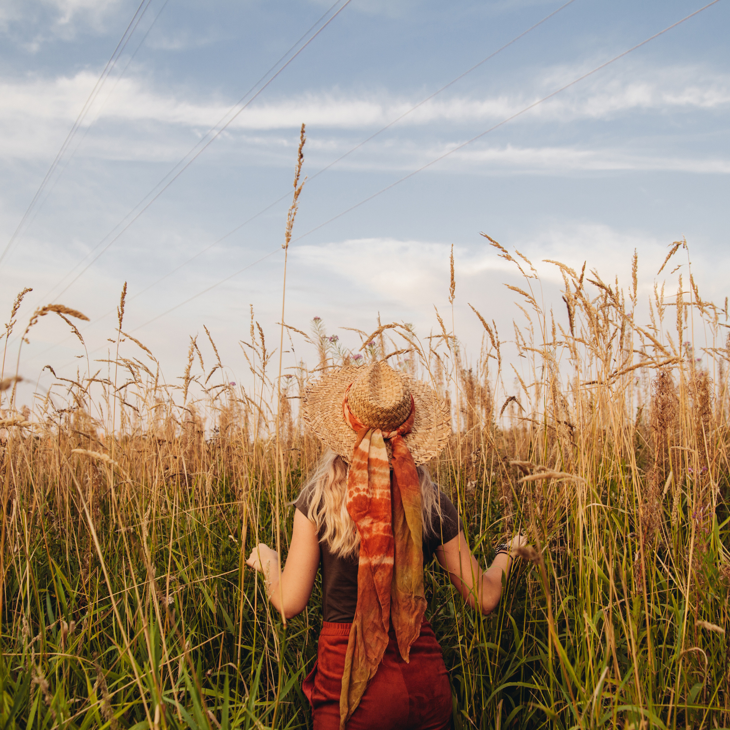 Там, где прячутся тигры