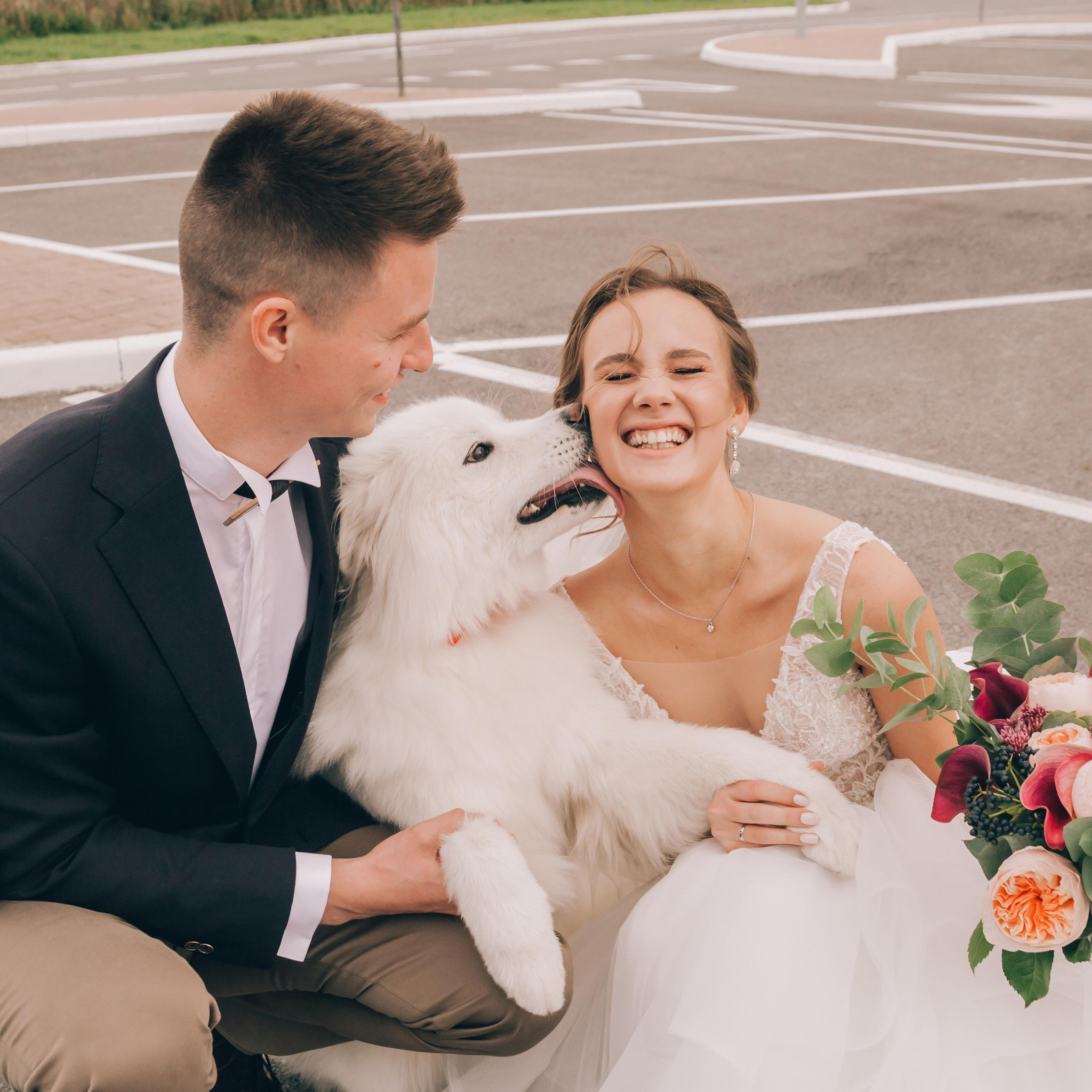 Ярослав и Анастасия