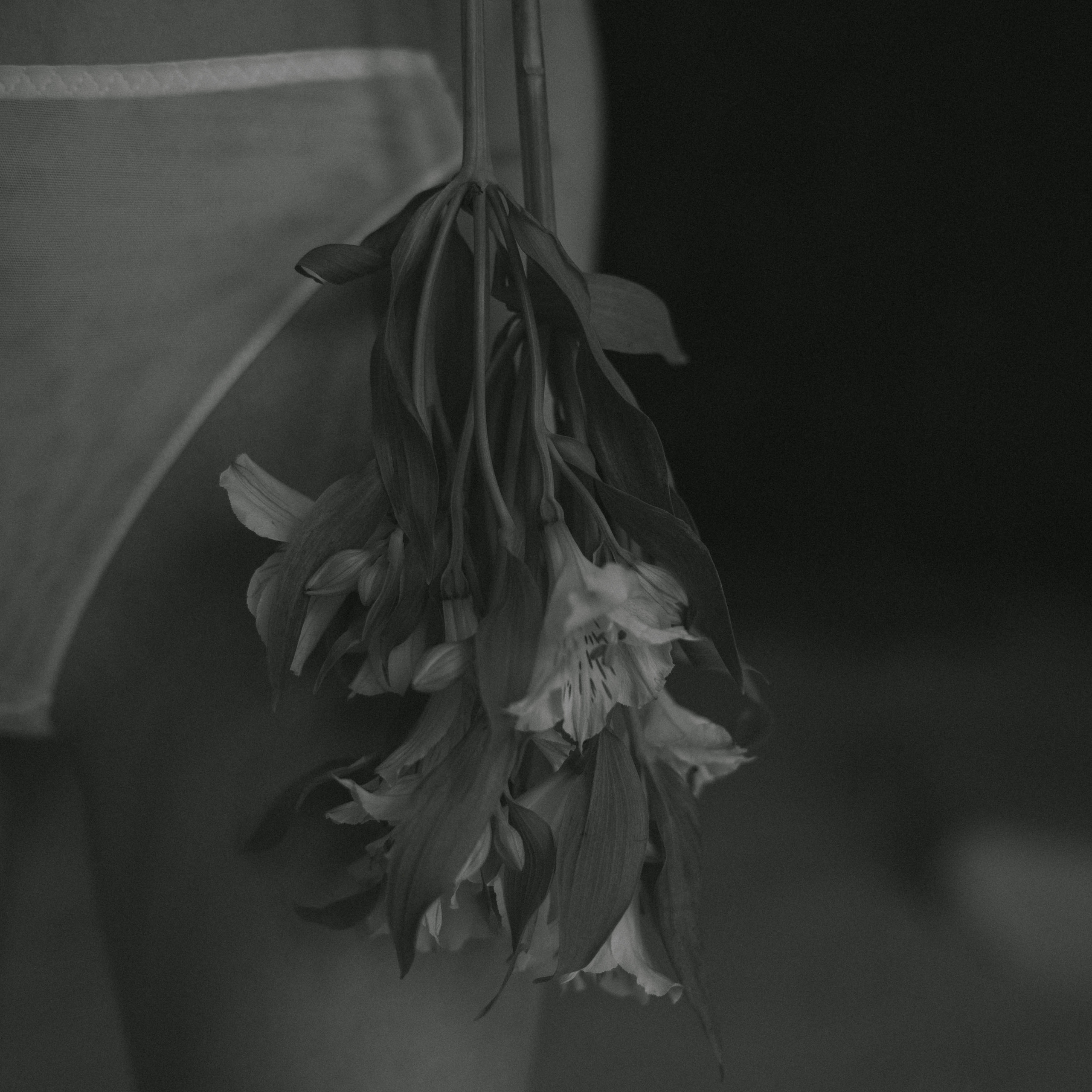 Отзывы. Фотограф Ксения Овтина