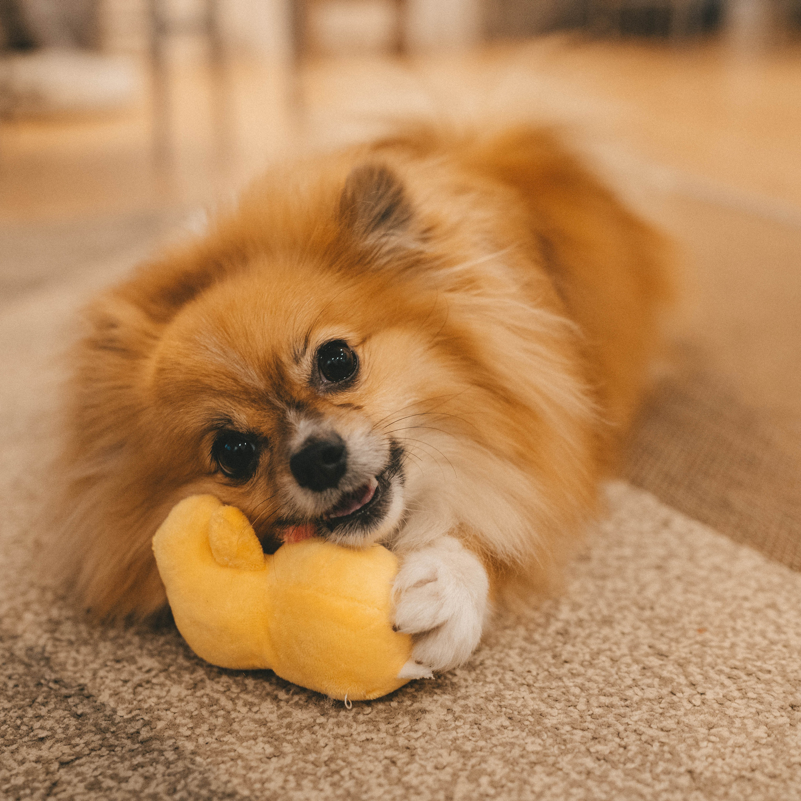 Отзывы. Фотограф Ксения Овтина