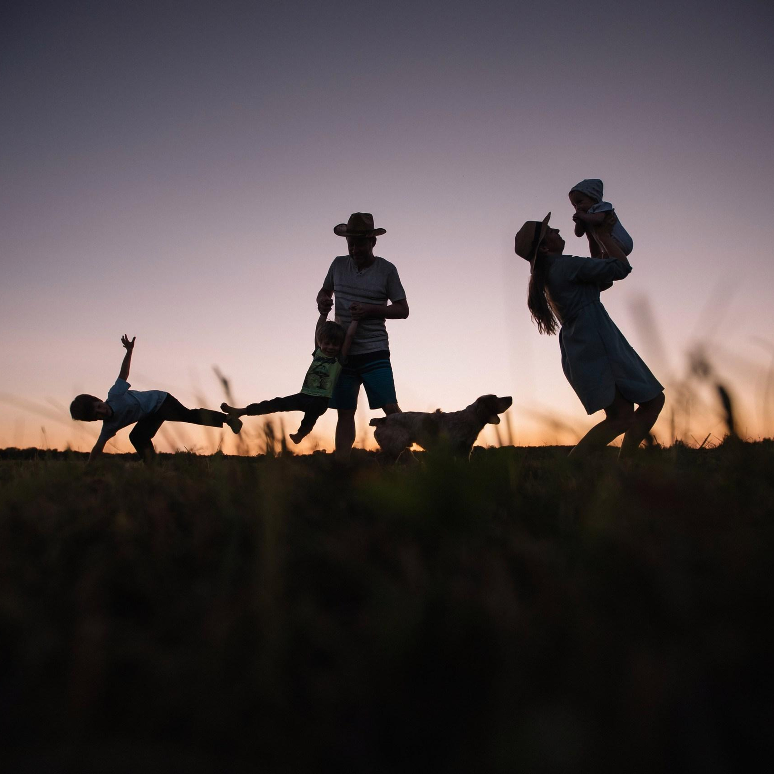 Дачные истории