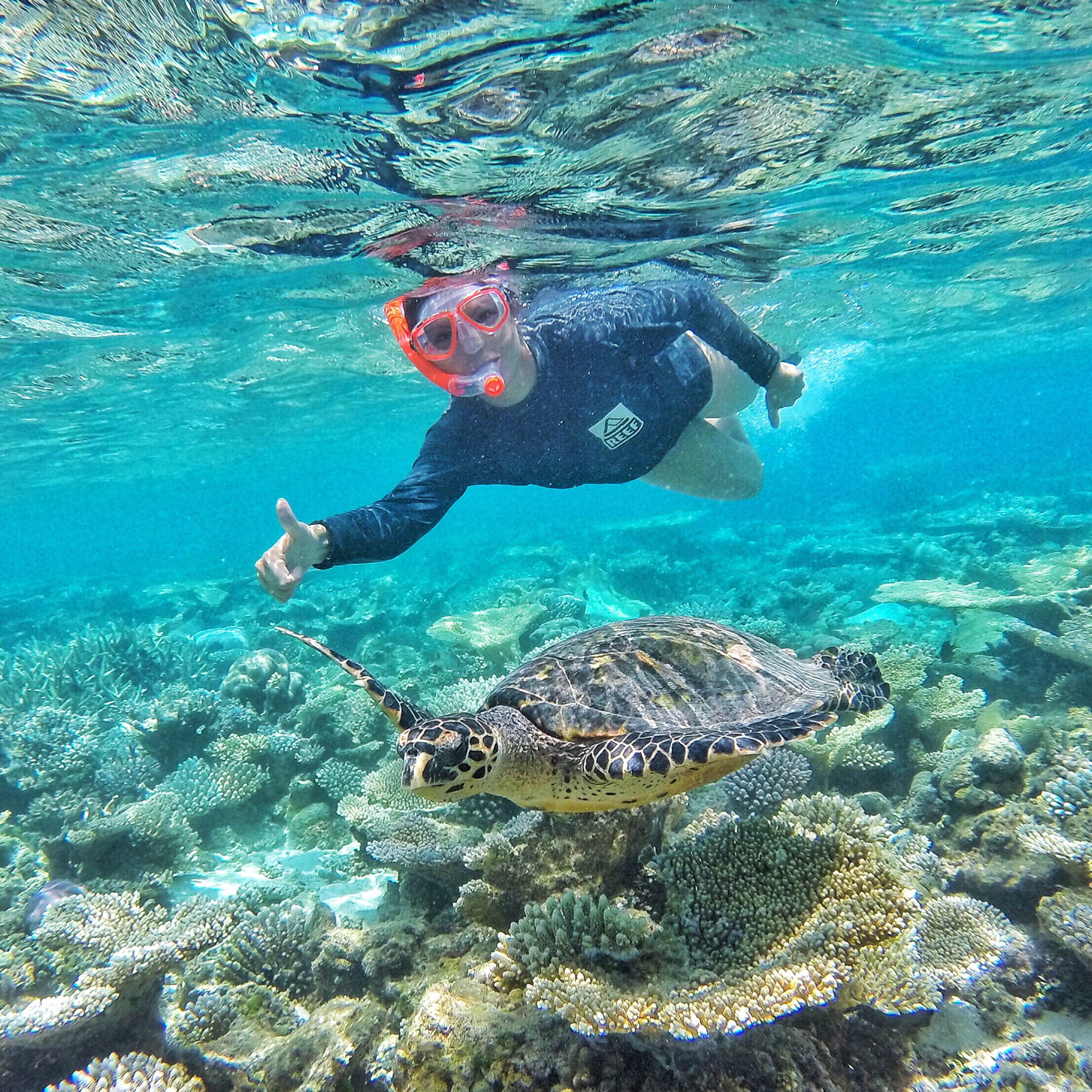 EXCURSIONS IN THE MALDIVES