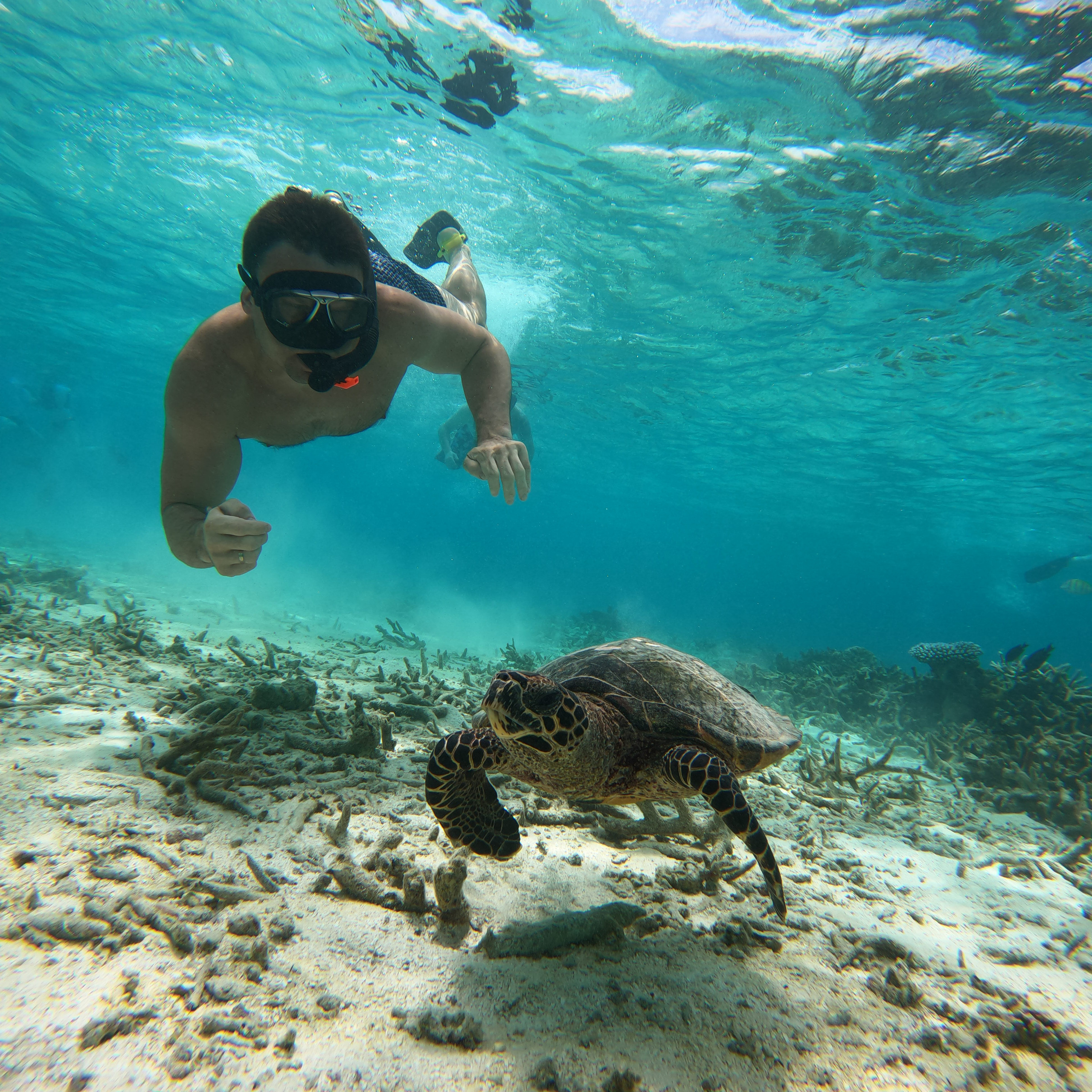 EXCURSIONS IN THE MALDIVES