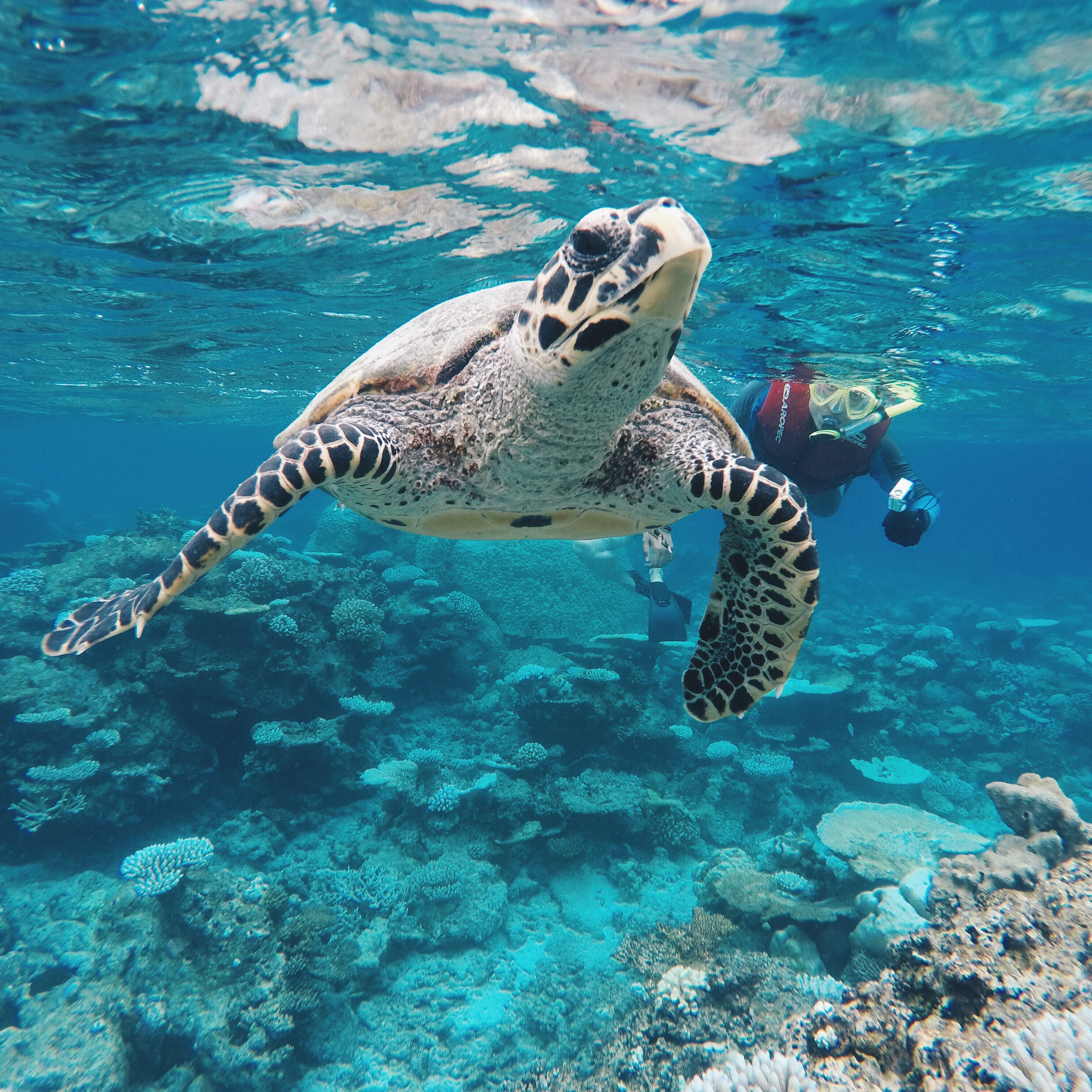 EXCURSIONS IN THE MALDIVES