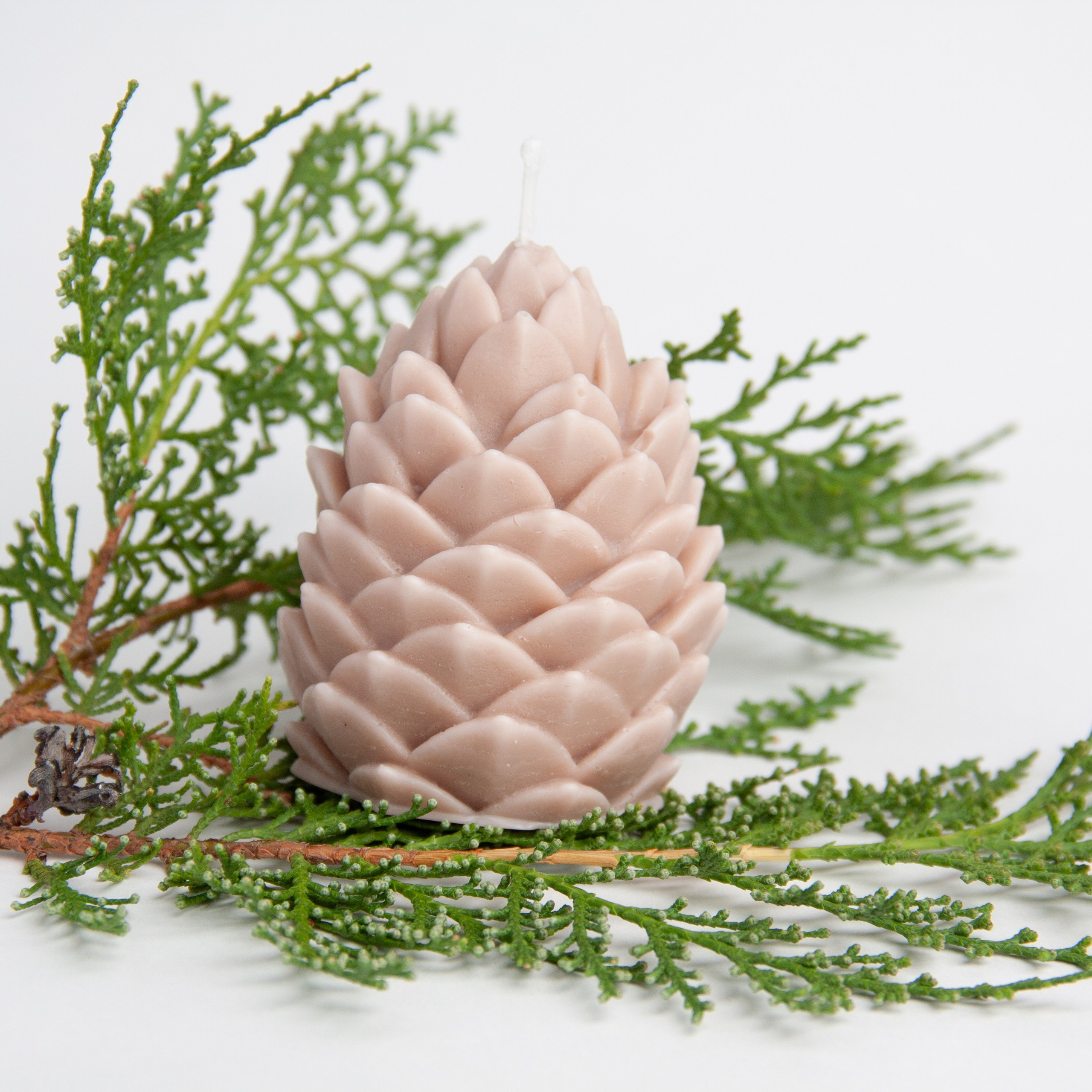 Рекламная фотография. Фотограф в Пятигорске Марина Гришина