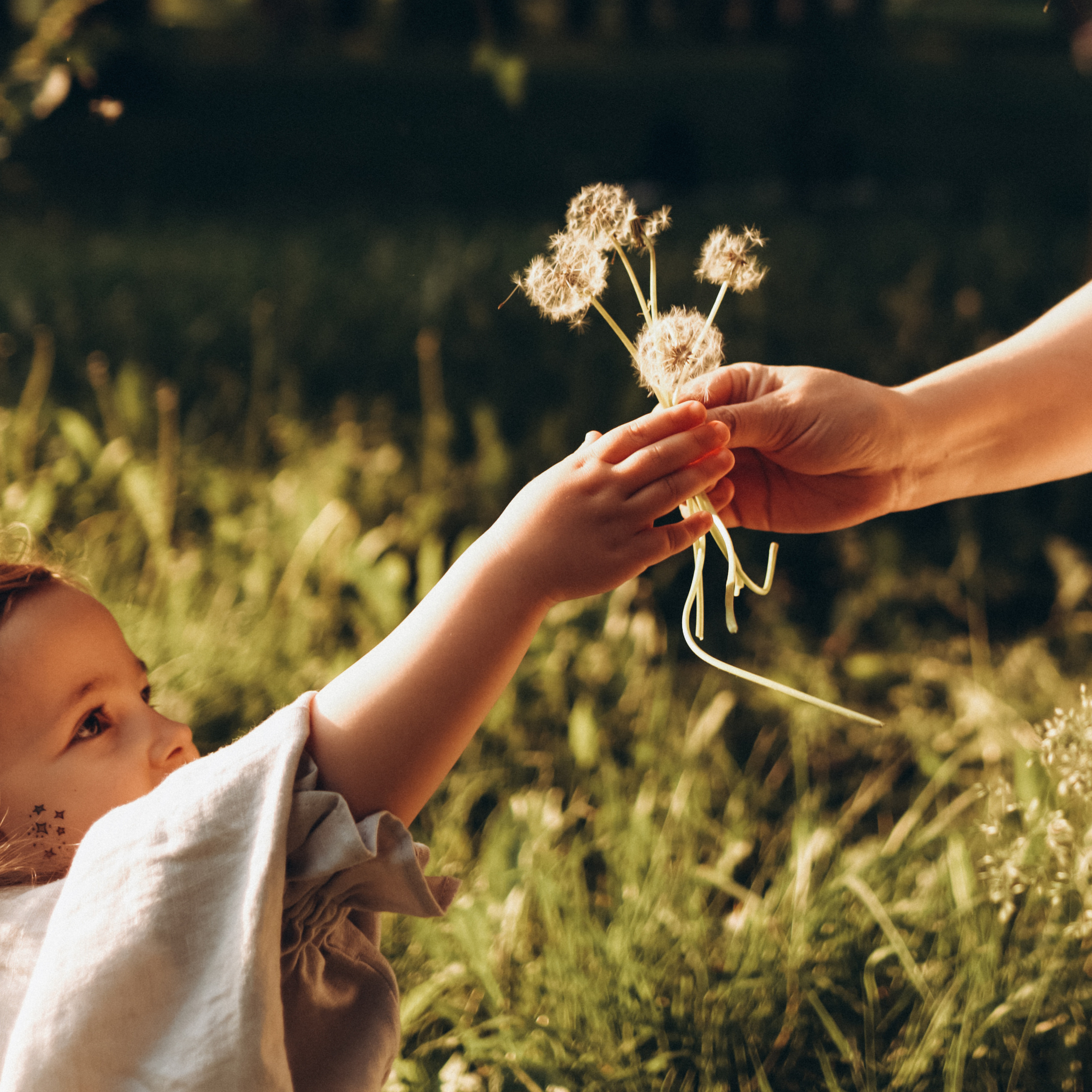 Отзывы. Семейный фотограф Фрума Шнейдерман. Санкт-Петербург и мир