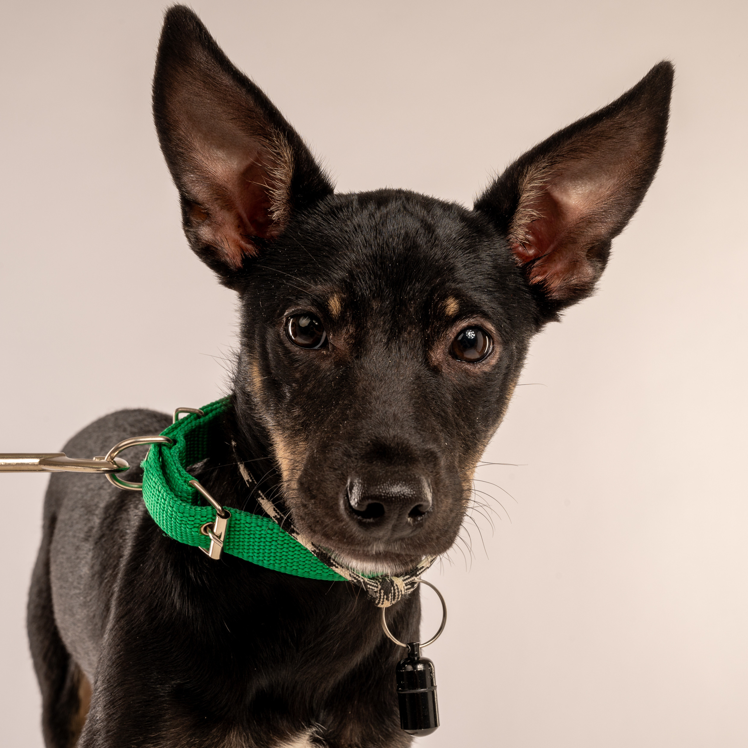 Отзывы. Экспресс-портрет, фото для сайтов и соцсетей