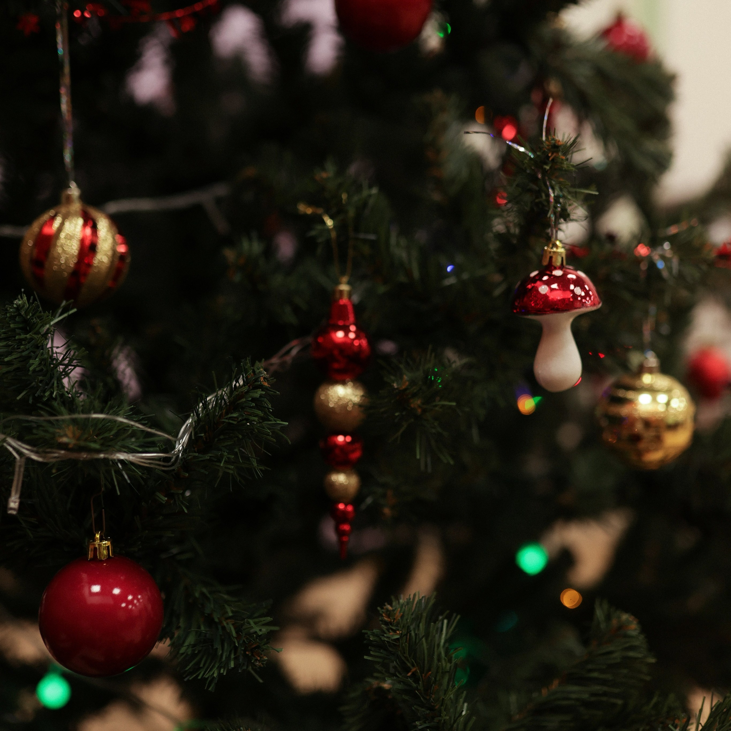 Отзывы. Настя Оленченко, портретный/семейный фотограф на цифру и плёнку Москва