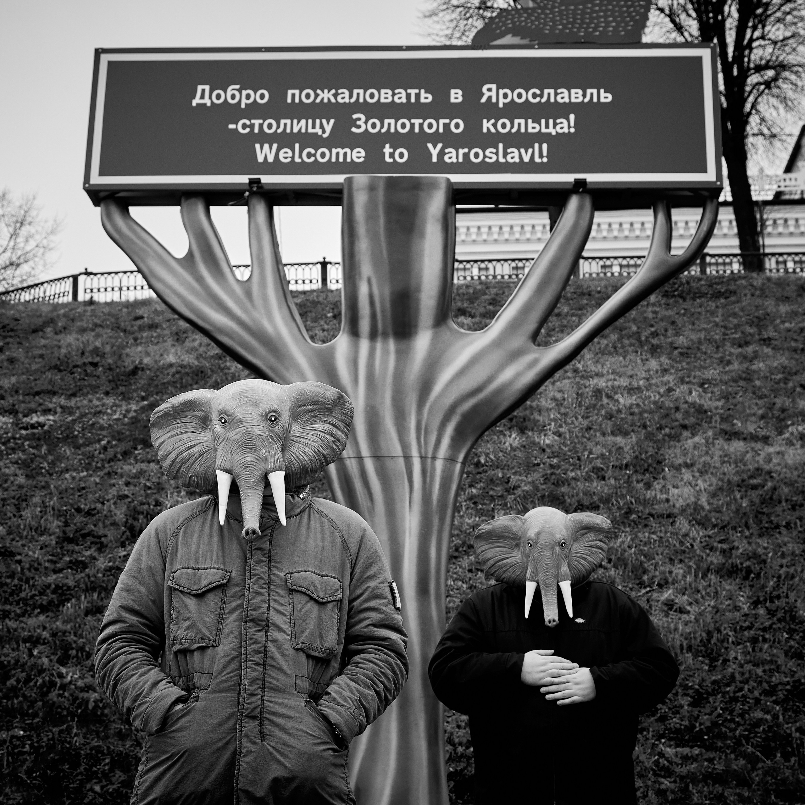 2 Слона