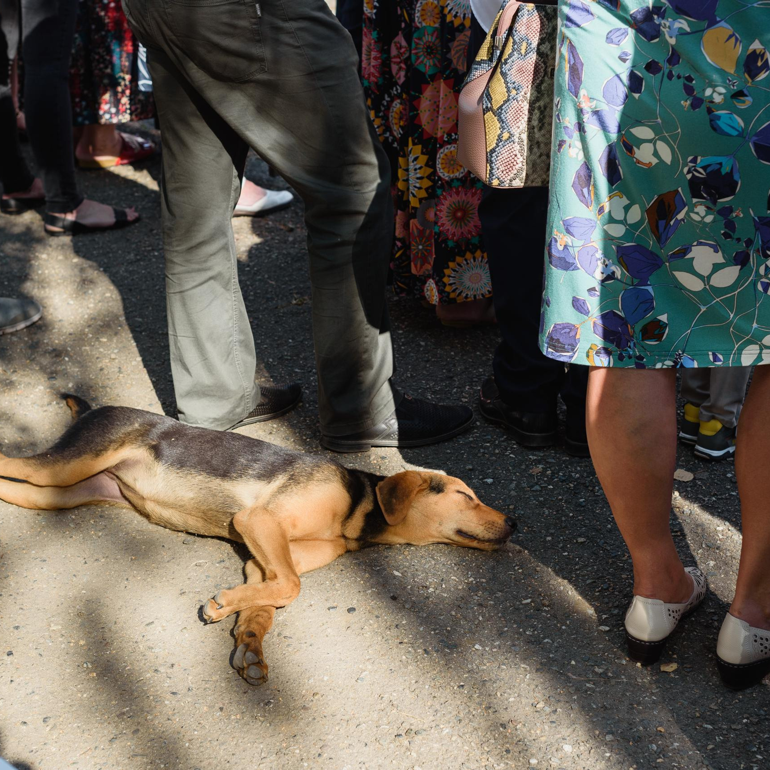 Отзывы. Фотостудия и фотограф в Майкопе — ProfessionalFoto