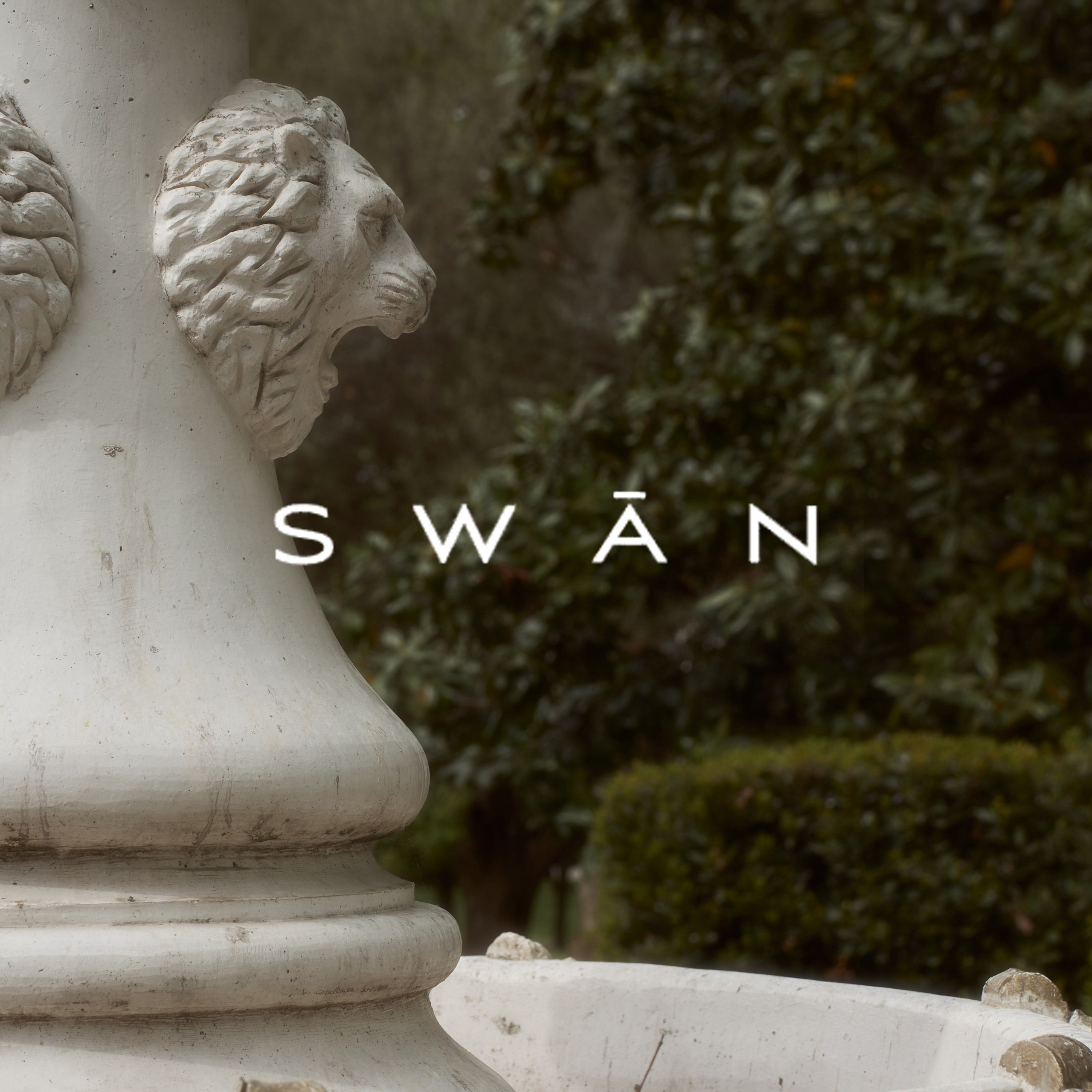 Swan | Имидж