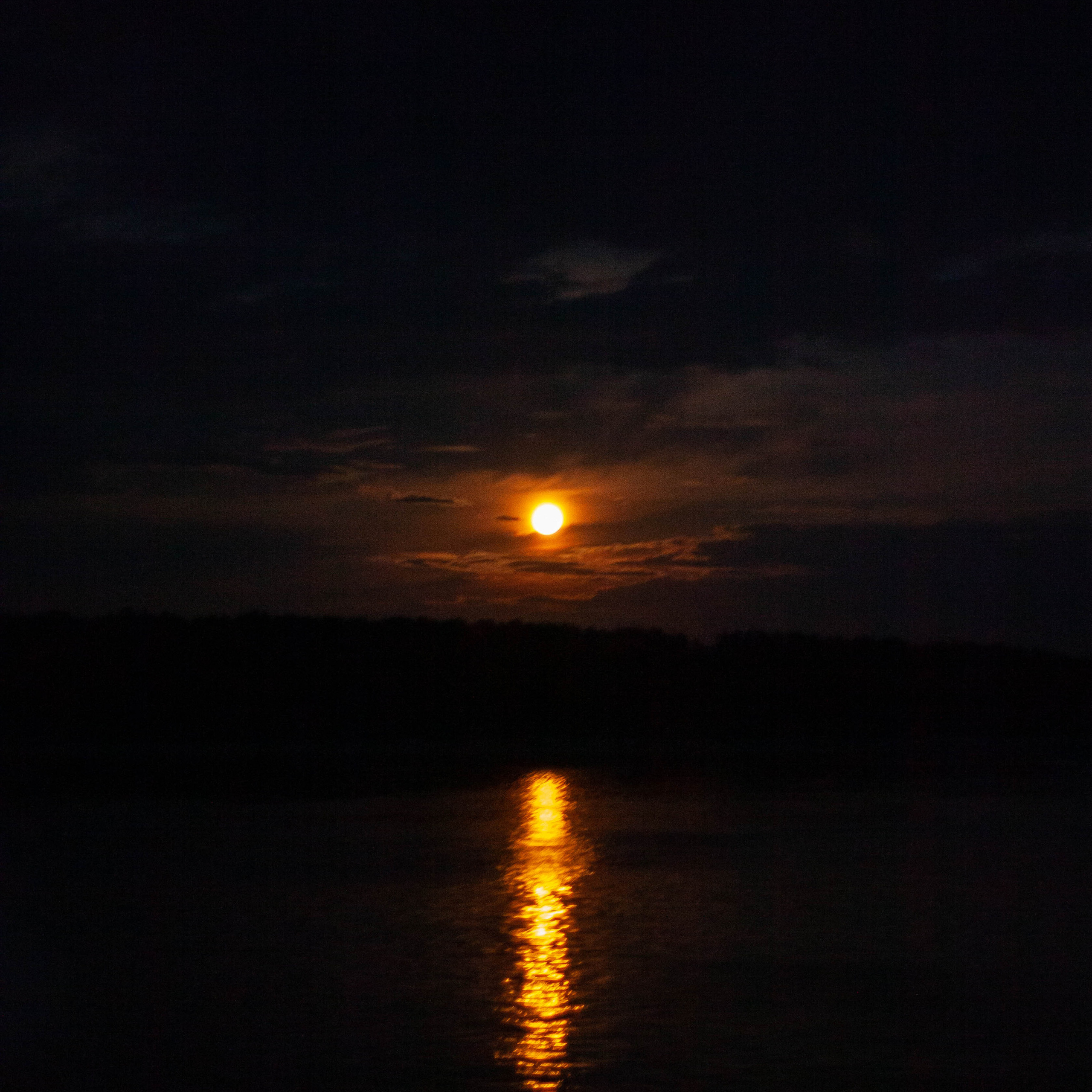 Отзывы. Фотограф в Кемерово, Ленинск-Кузнецкий, Полысаево — Огнева Юлия
