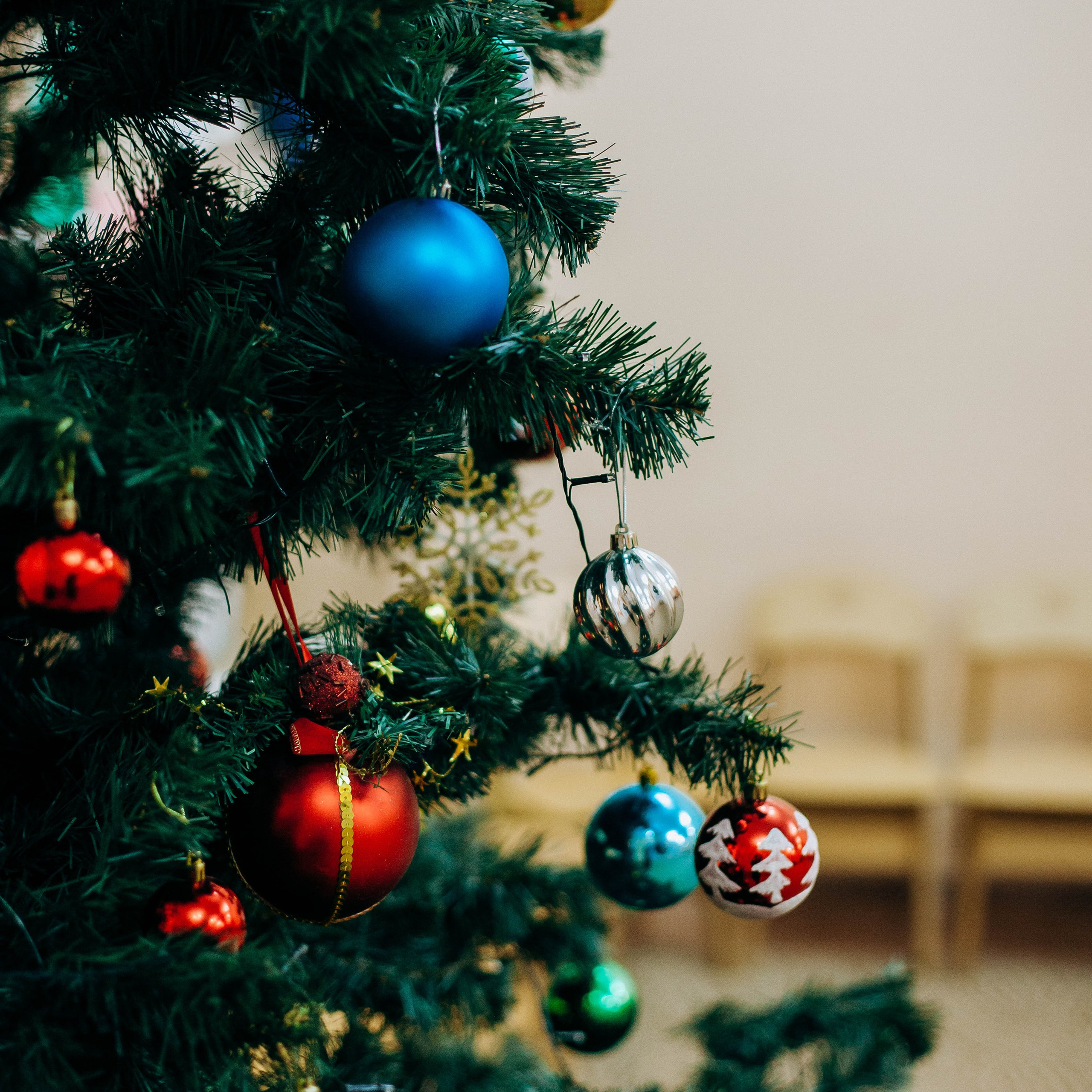 Отзывы. Фотограф в Кемерово, Ленинск-Кузнецкий, Полысаево — Огнева Юлия