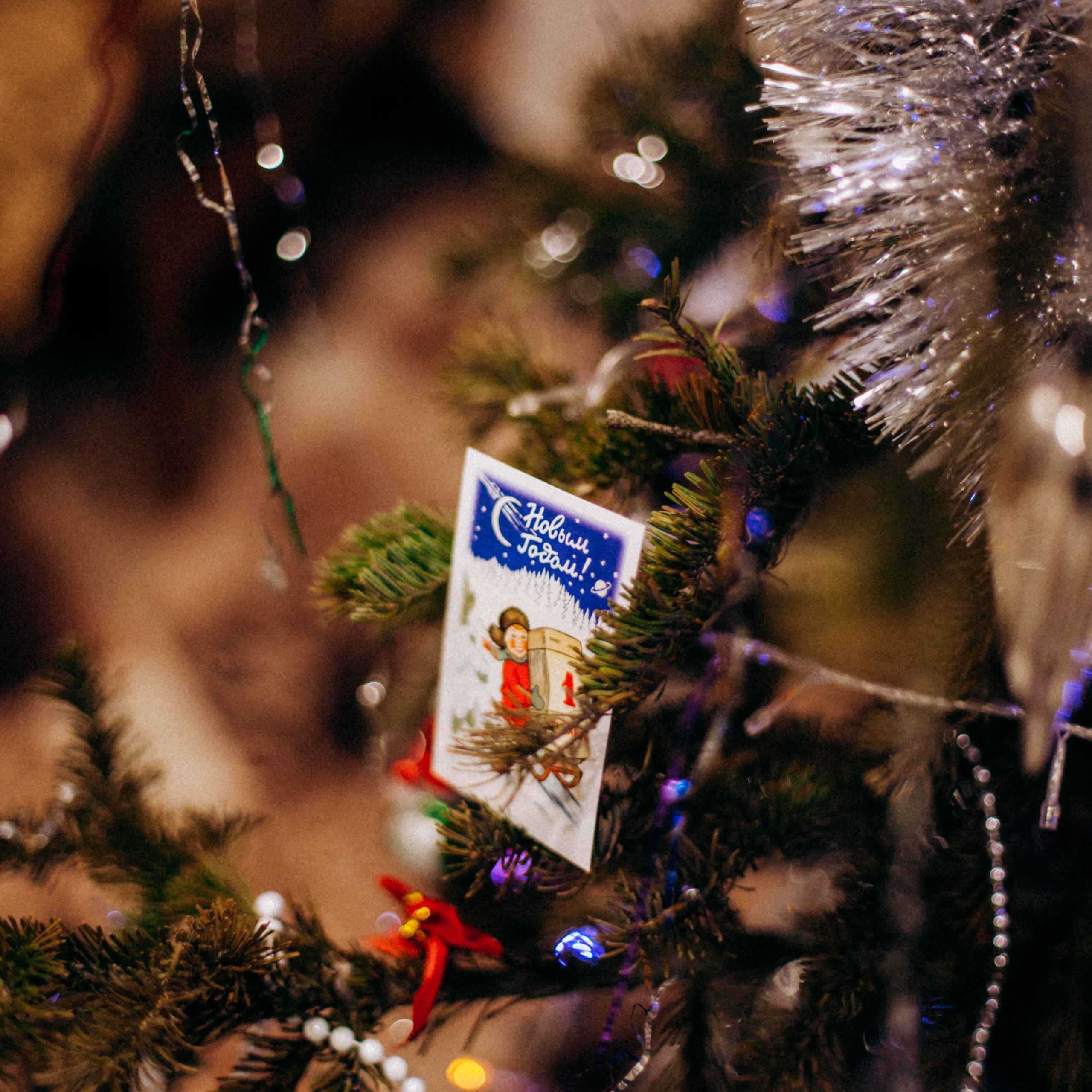 Отзывы. Фотограф в Кемерово, Ленинск-Кузнецкий, Полысаево — Огнева Юлия