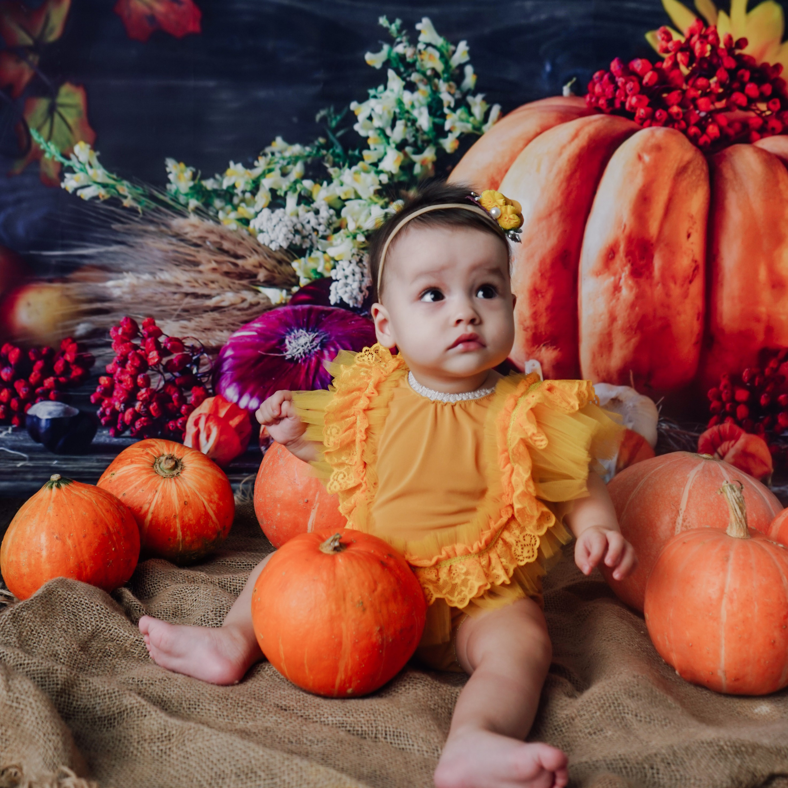 Отзывы. Фотограф новорожденных чита