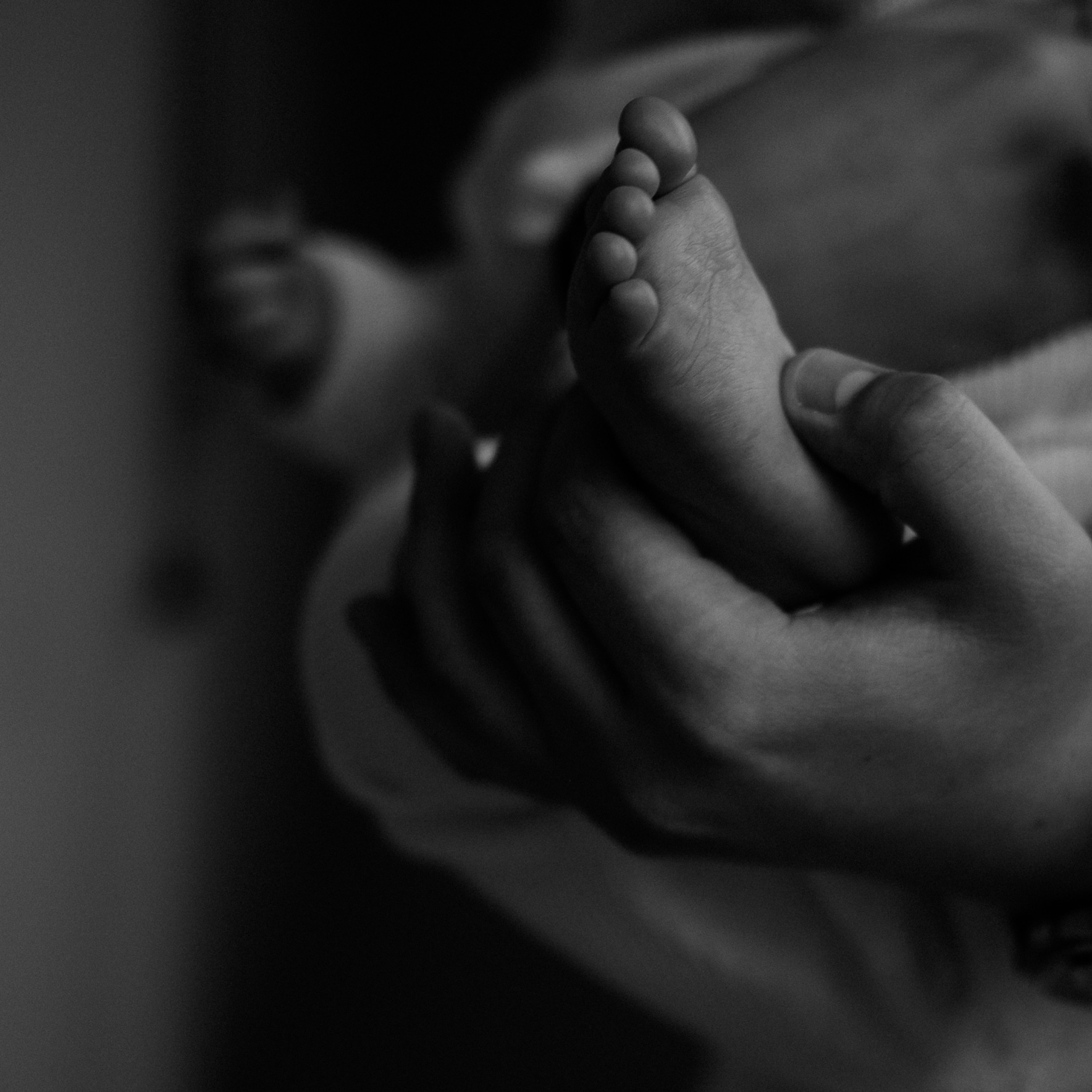 Отзывы. Свадебный, семейный фотограф Натали в Москве