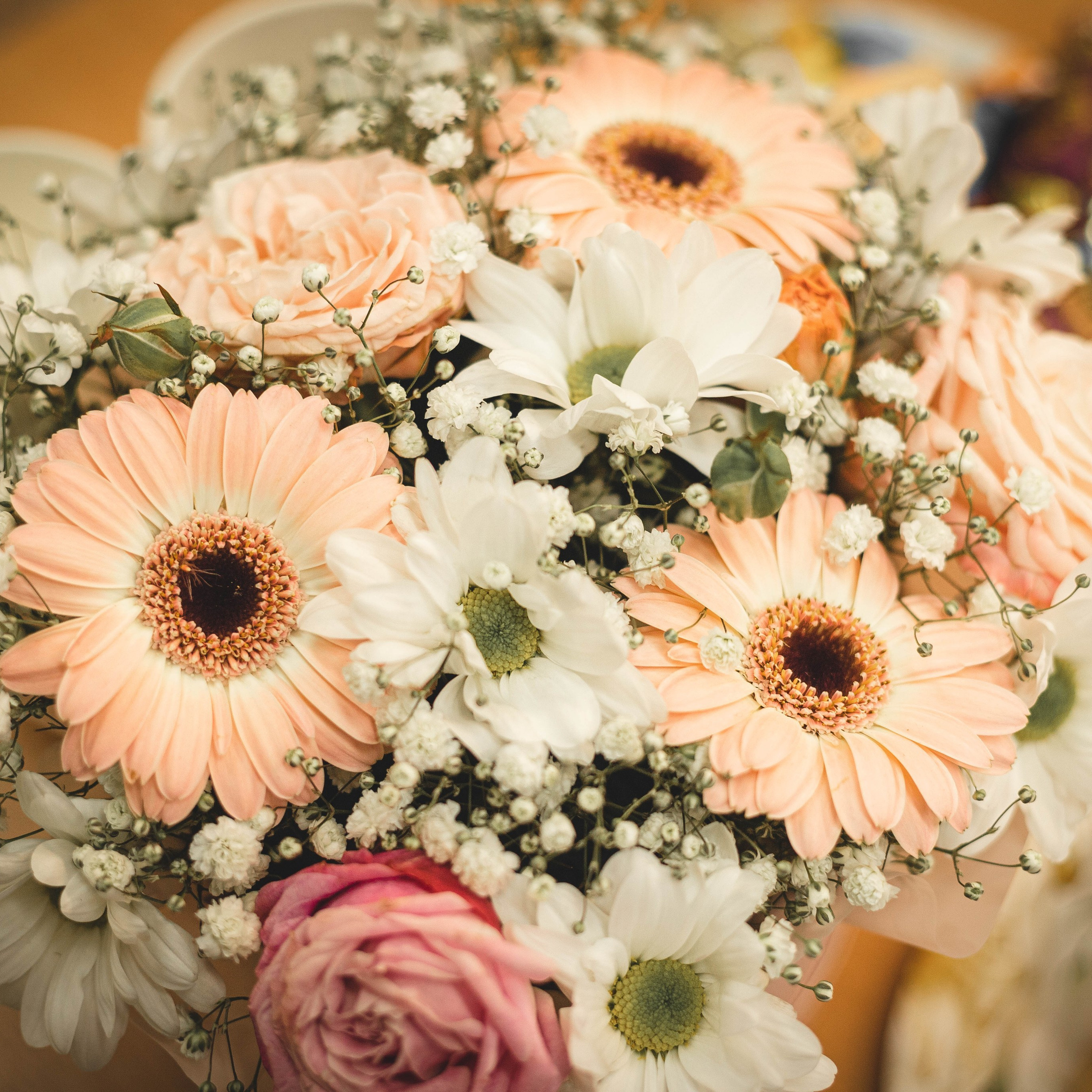 Отзывы. Фотограф Косинова Алёна