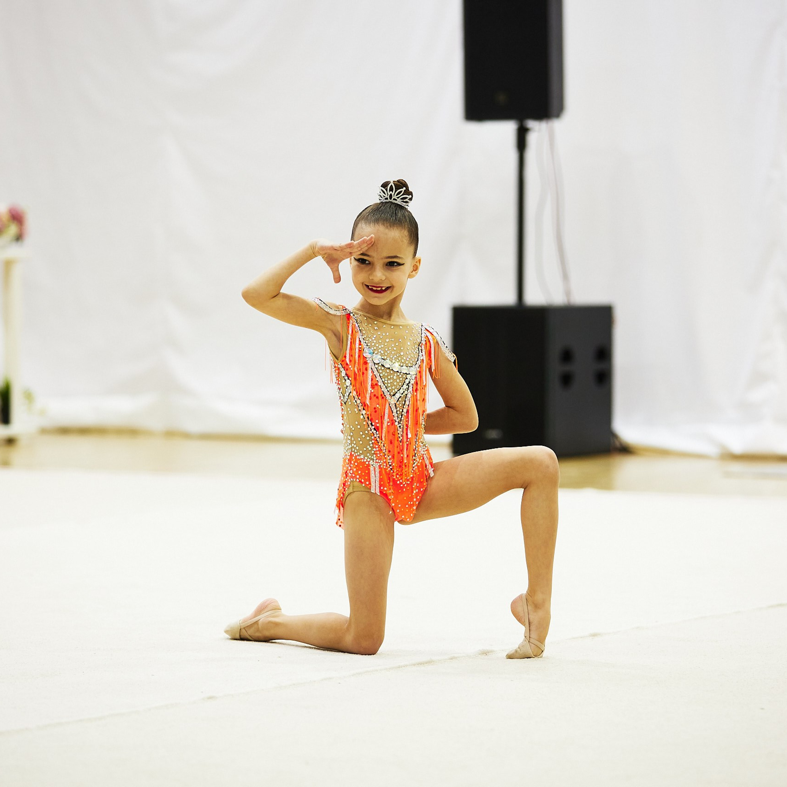 Художественная гимнастика