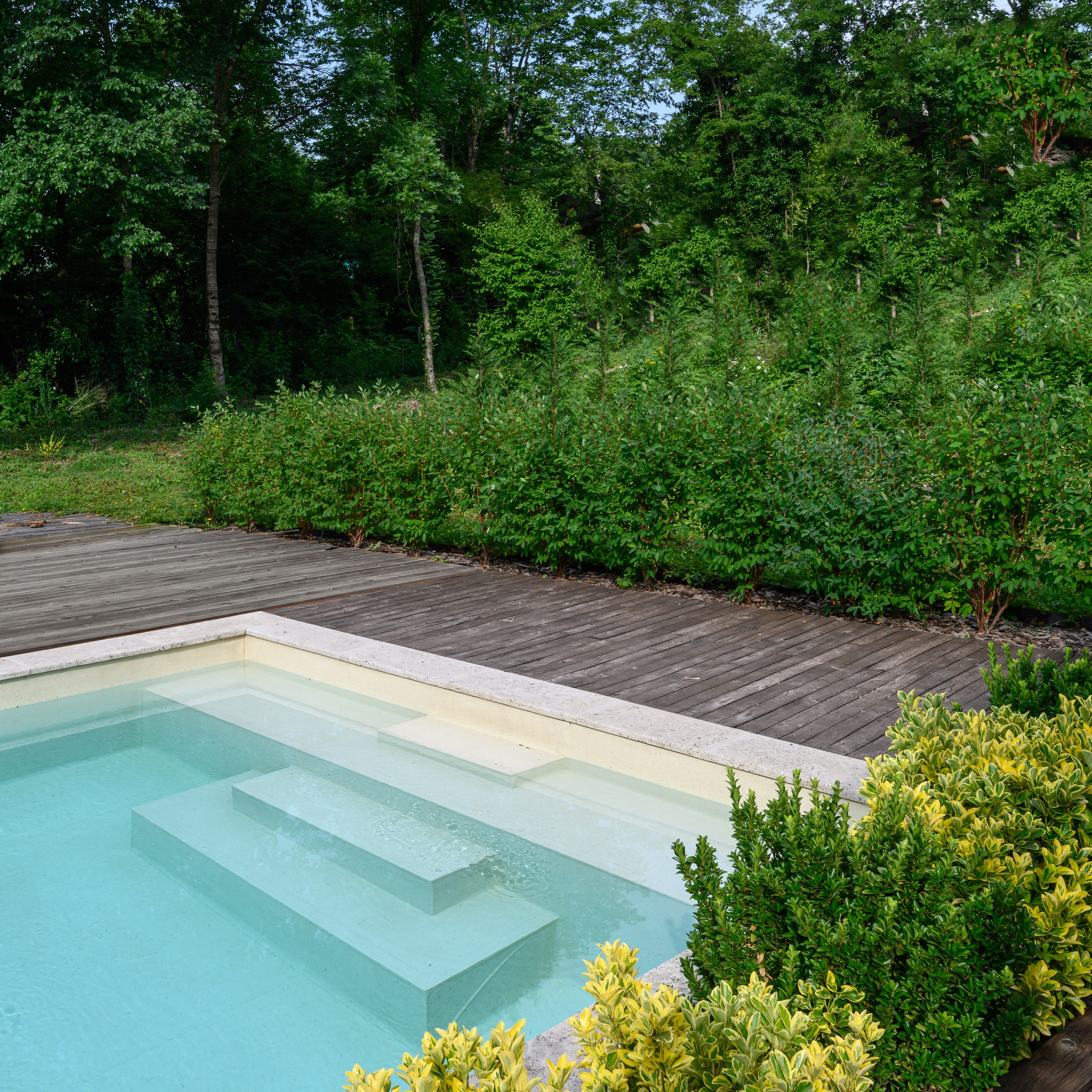 Бассейн в лесу