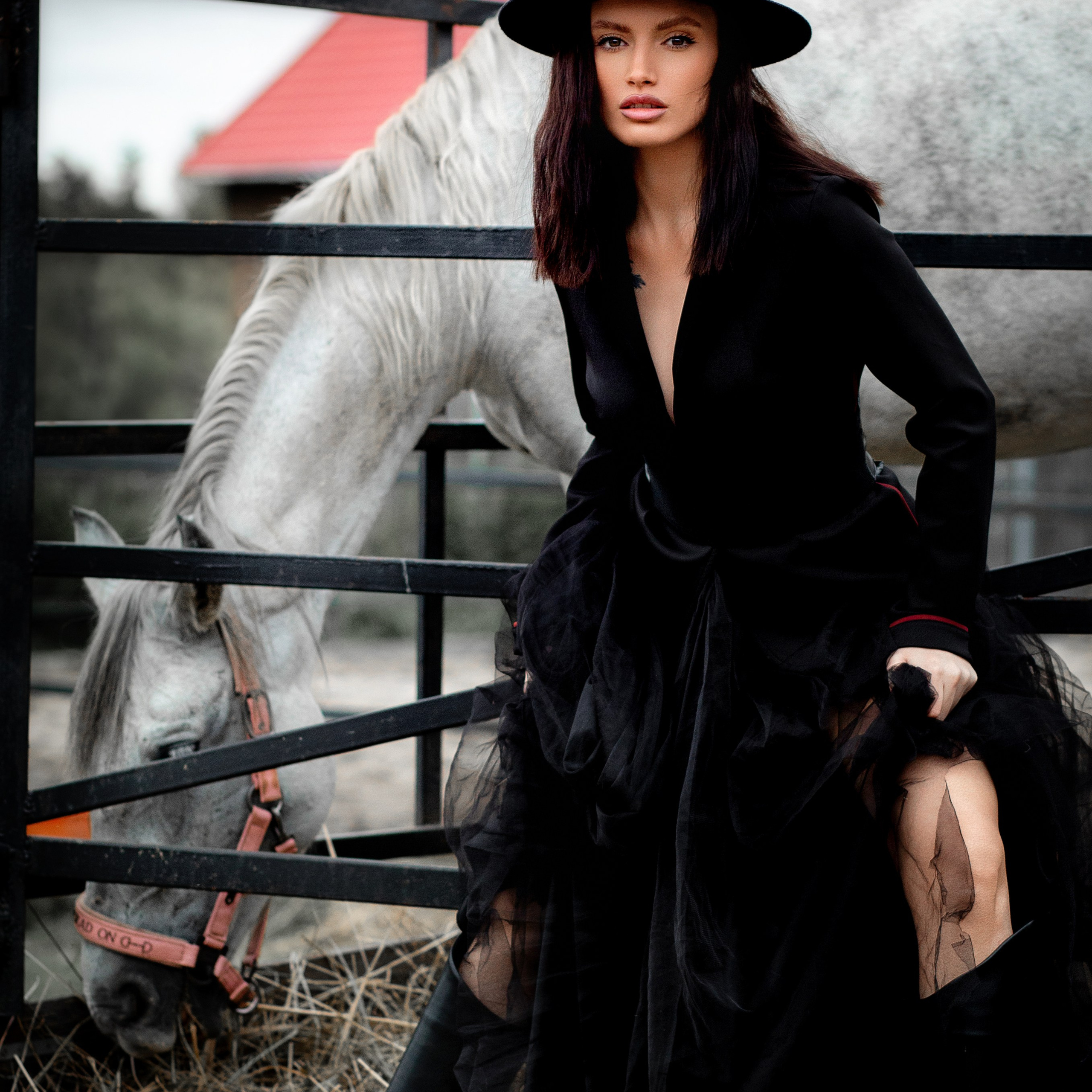 Конные съемки. Художественный фотограф в Томске Алёна Окунева