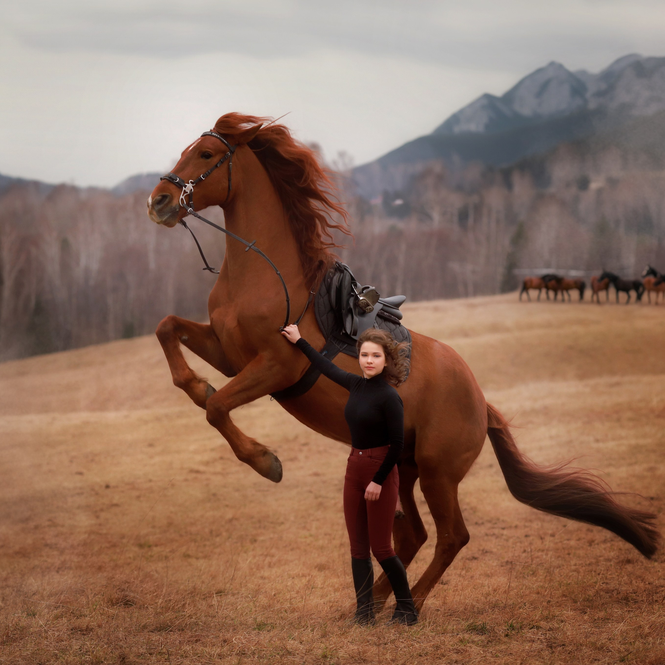 Конные съемки. Художественный фотограф в Томске Алёна Окунева