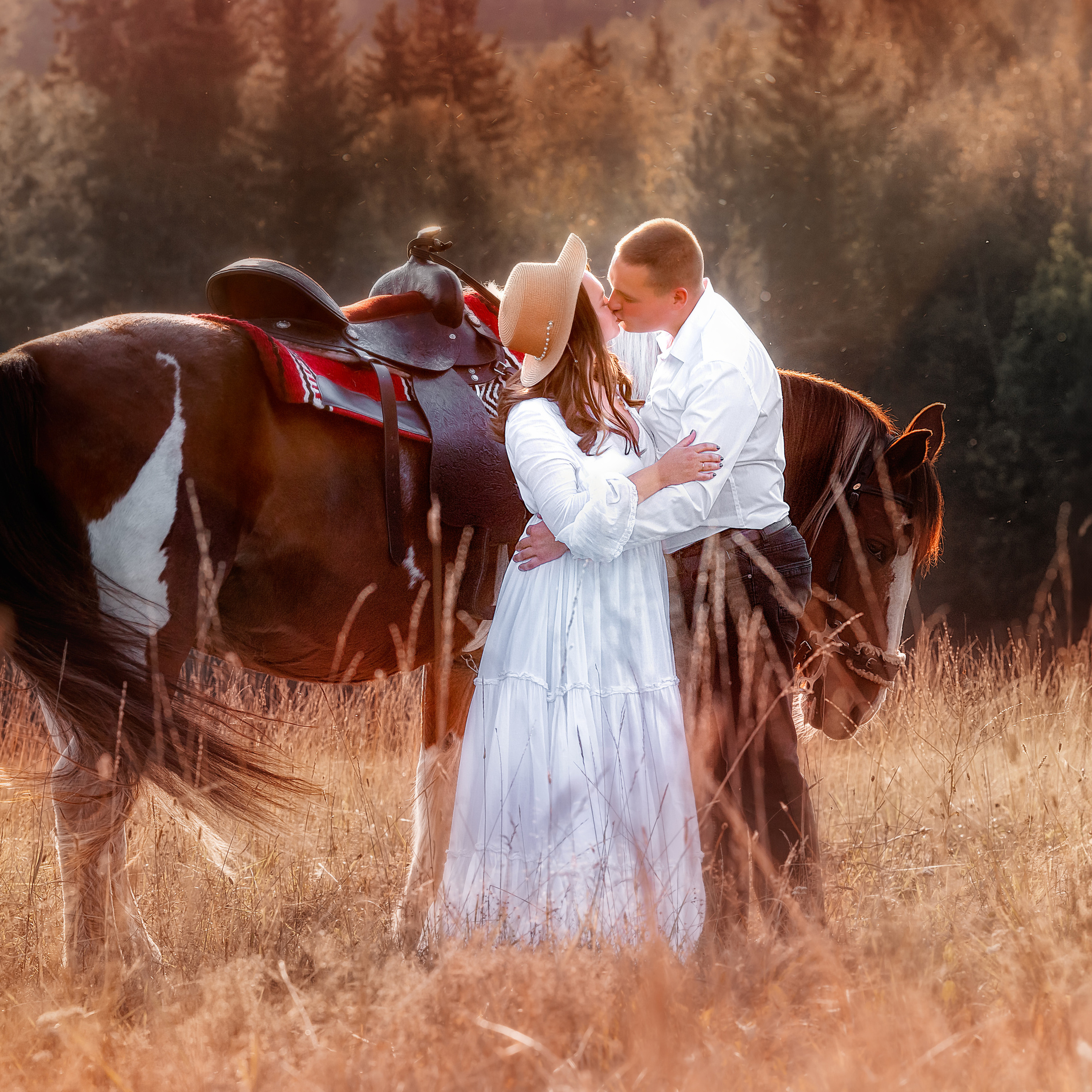 Конные съемки. Художественный фотограф в Томске Алёна Окунева
