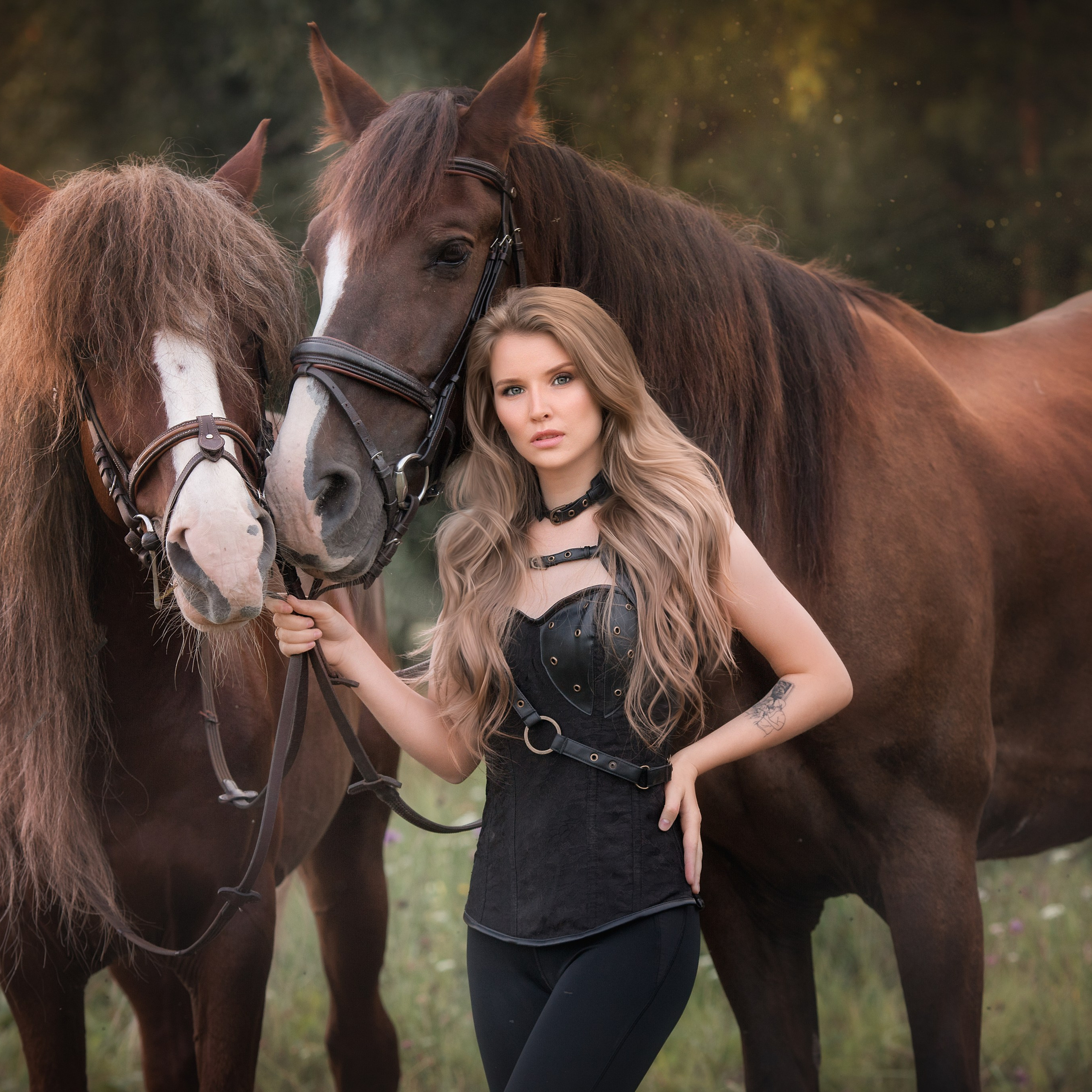 Конные съемки