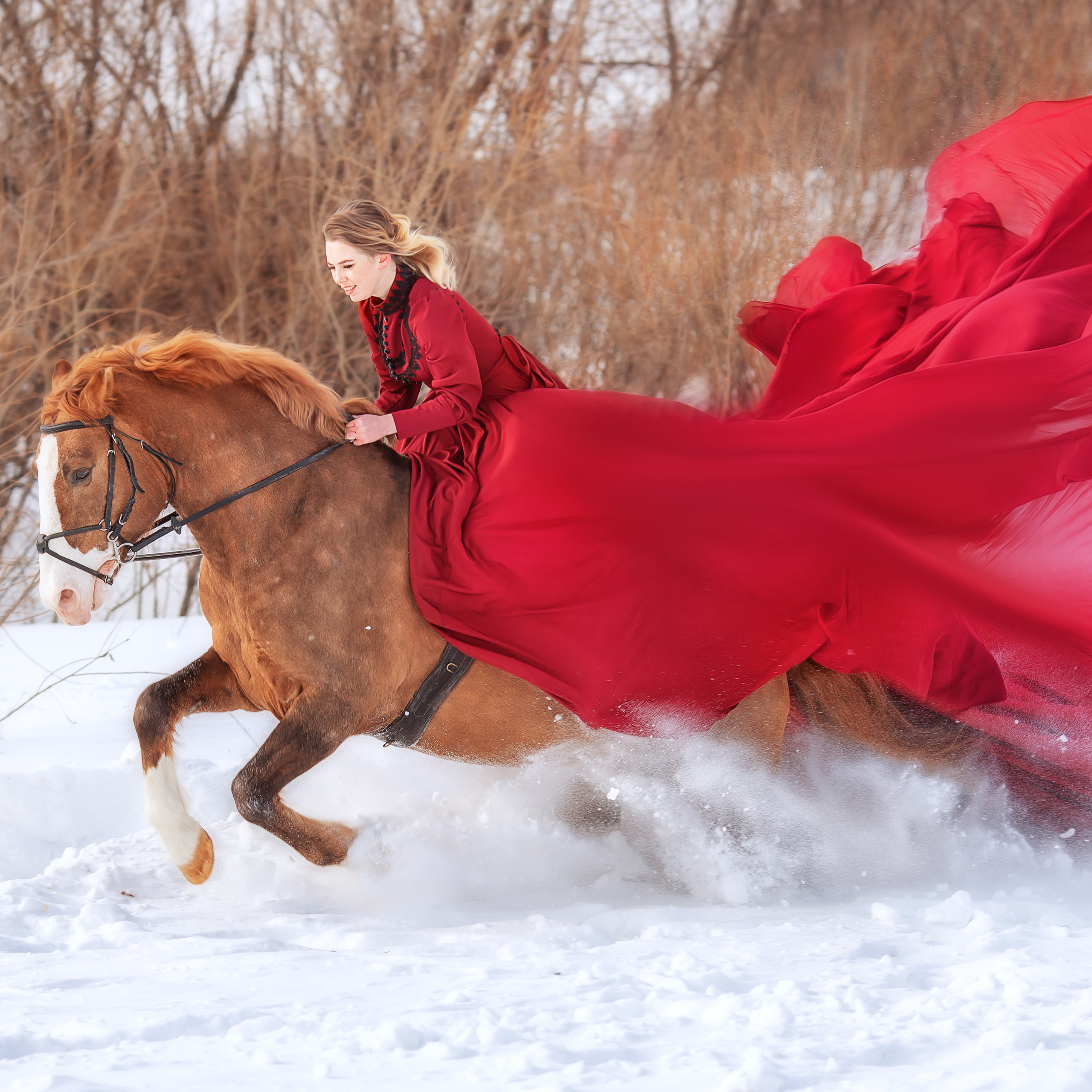 Конные съемки. Художественный фотограф в Томске Алёна Окунева