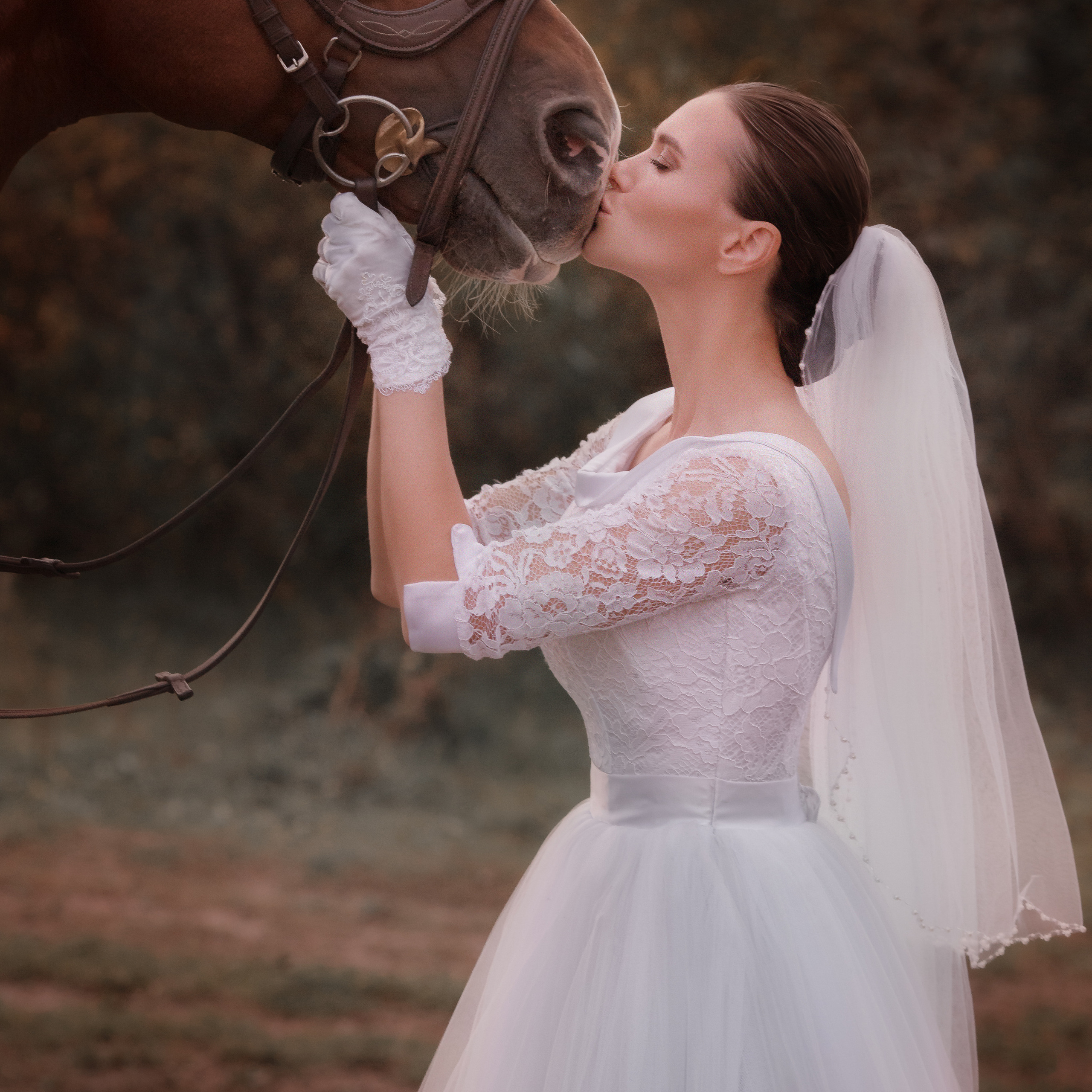 Конные съемки. Художественный фотограф в Томске Алёна Окунева