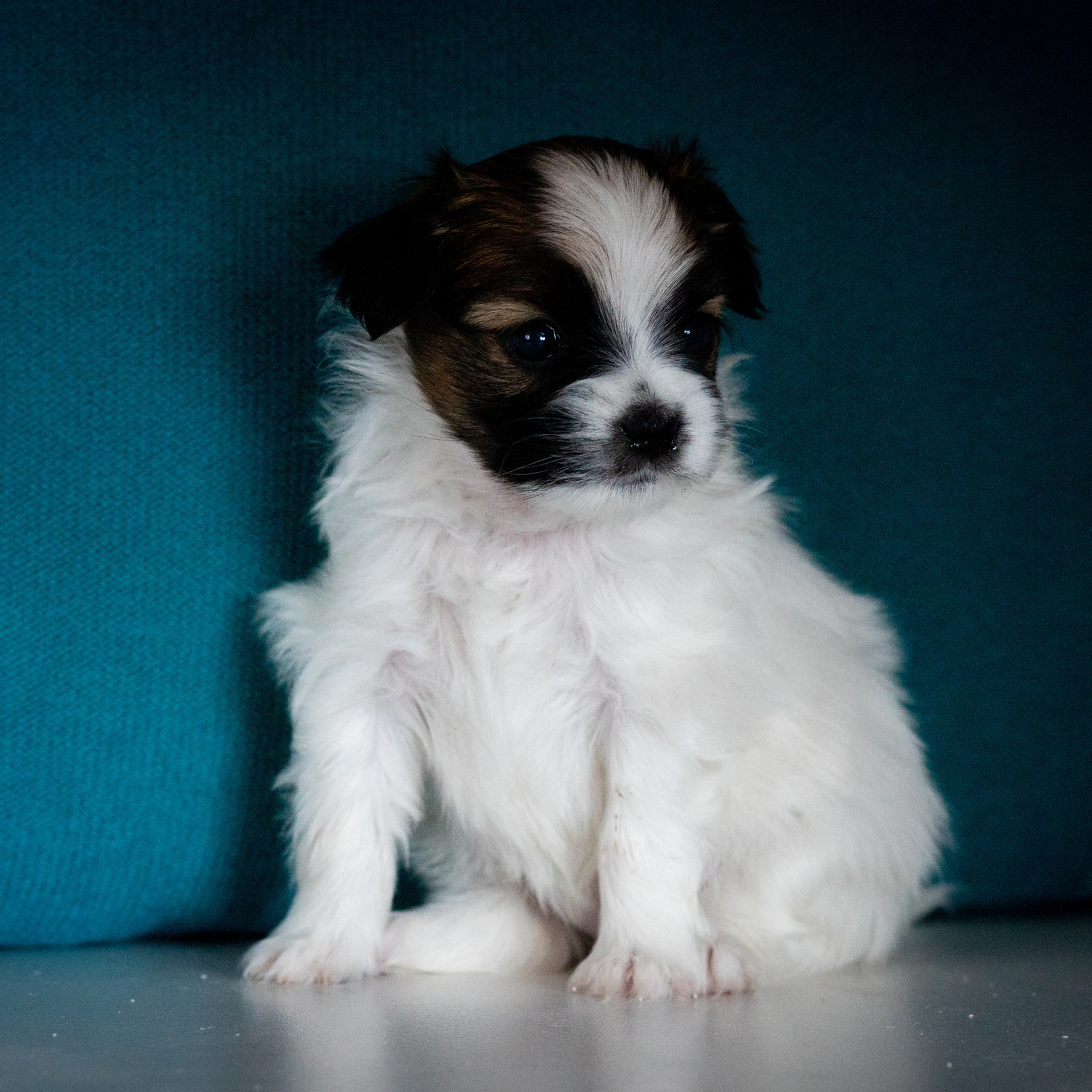 ОТЗЫВЫ. Художественный фотограф в Томске Алёна Окунева