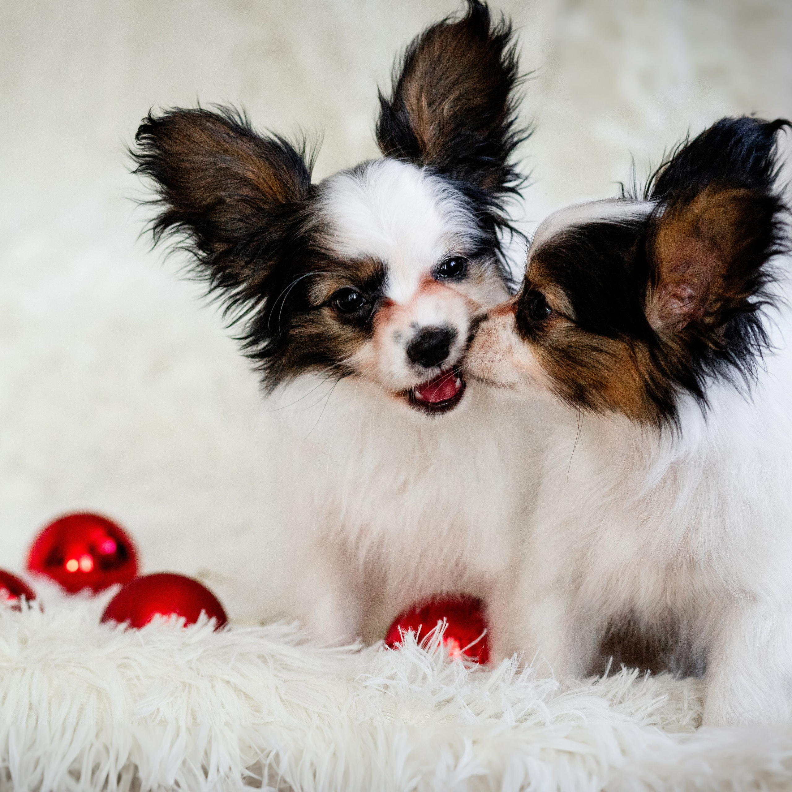 ОТЗЫВЫ. Художественный фотограф в Томске Алёна Окунева