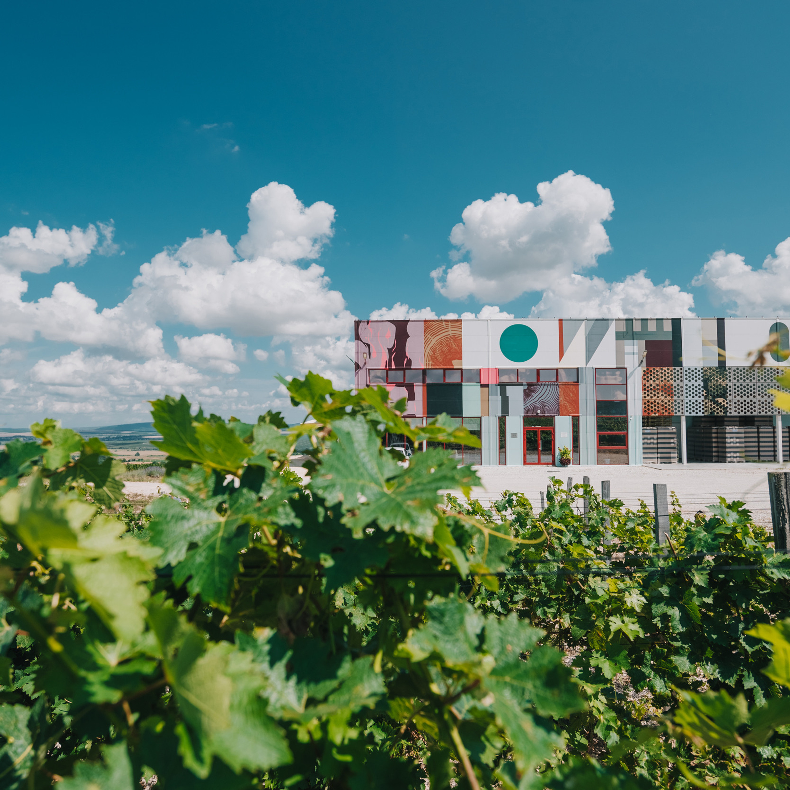 Винодельня «Сухая гора»