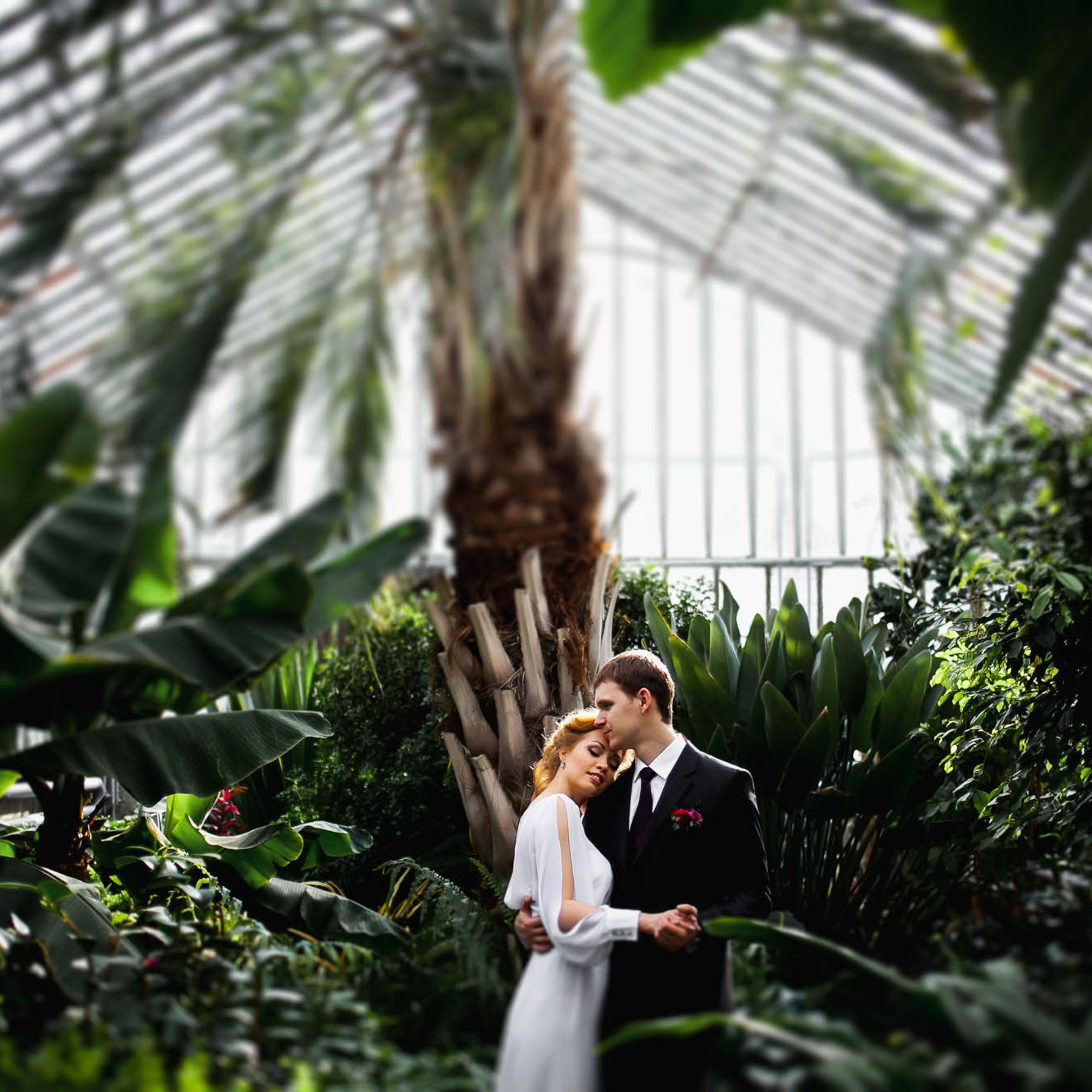 Свадьбы. Фотограф Георгий Сапожников