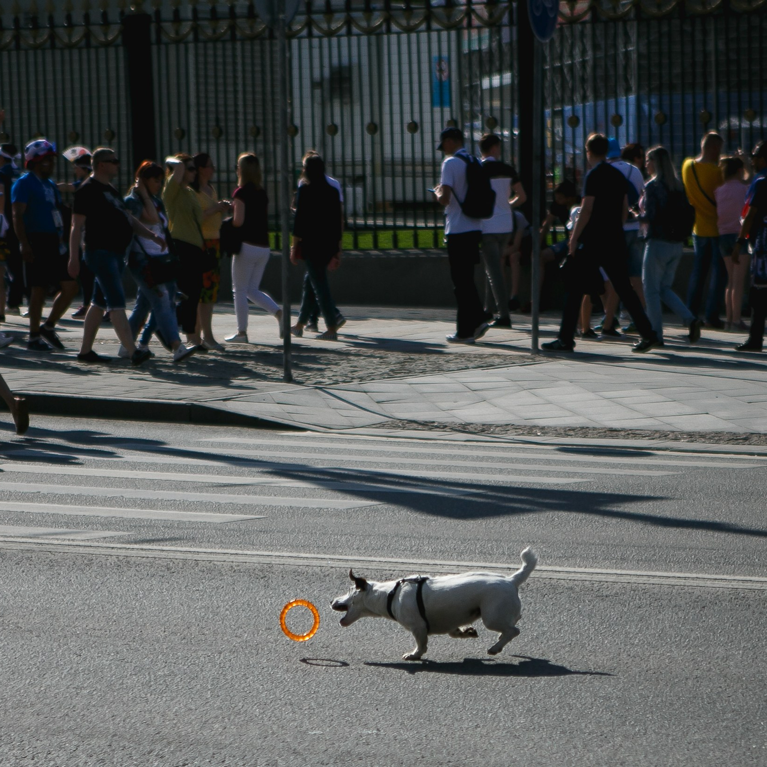 Чемпионат мира по футболу Екатеринбург Fifa World Cup 2018. Фотограф Георгий Сапожников