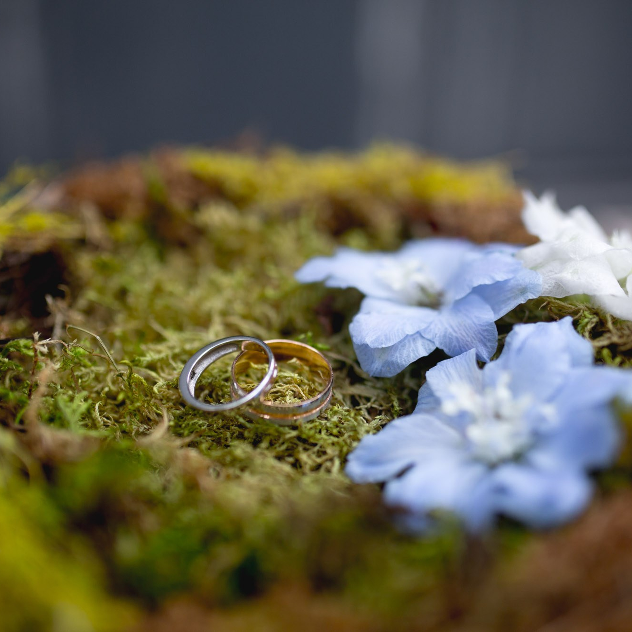 Свадьбы. Фотограф Георгий Сапожников