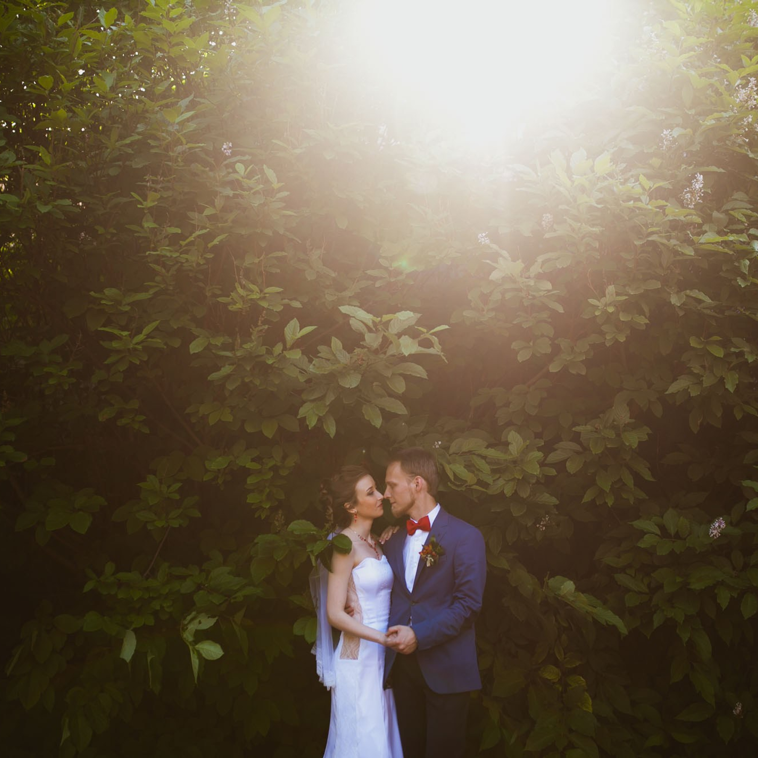 Свадьбы. Фотограф Георгий Сапожников