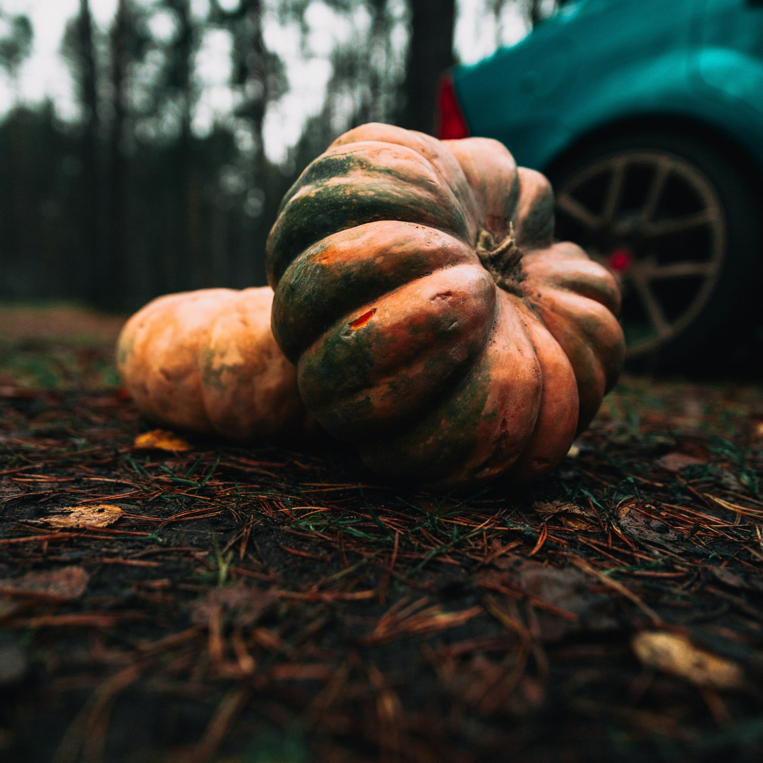 HALLOWEEN художественная съемка