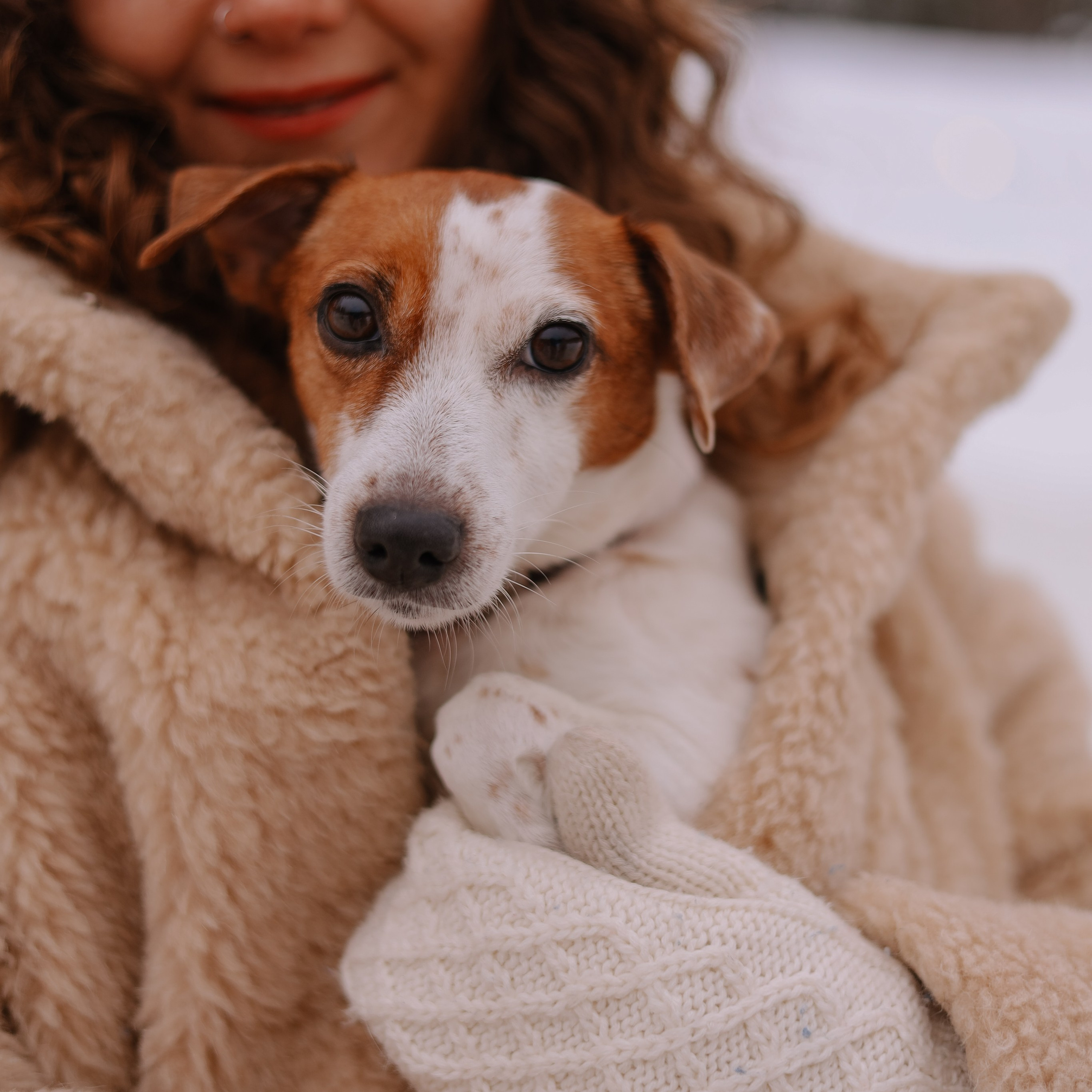 Семья, домик, зима