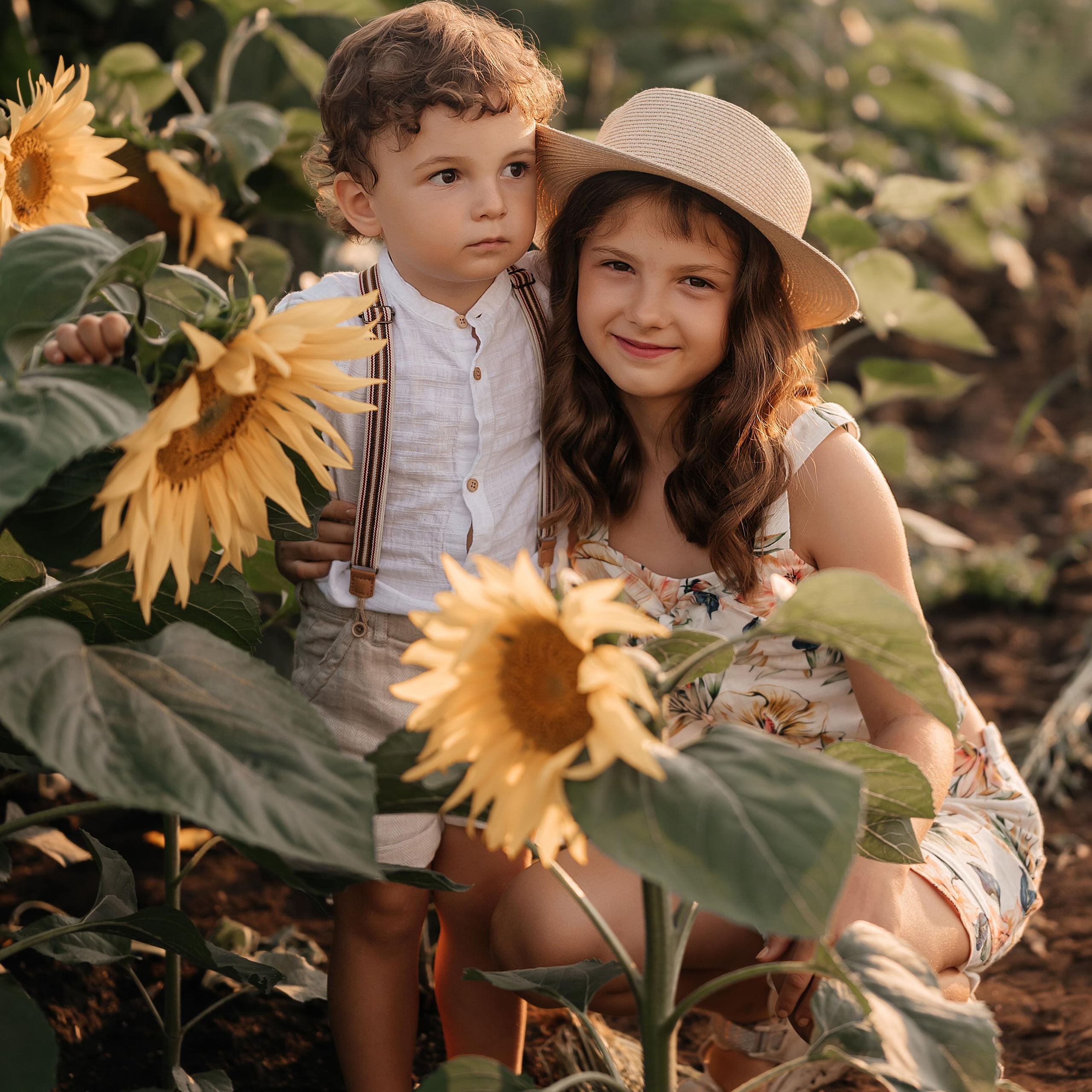 Подсолнухи