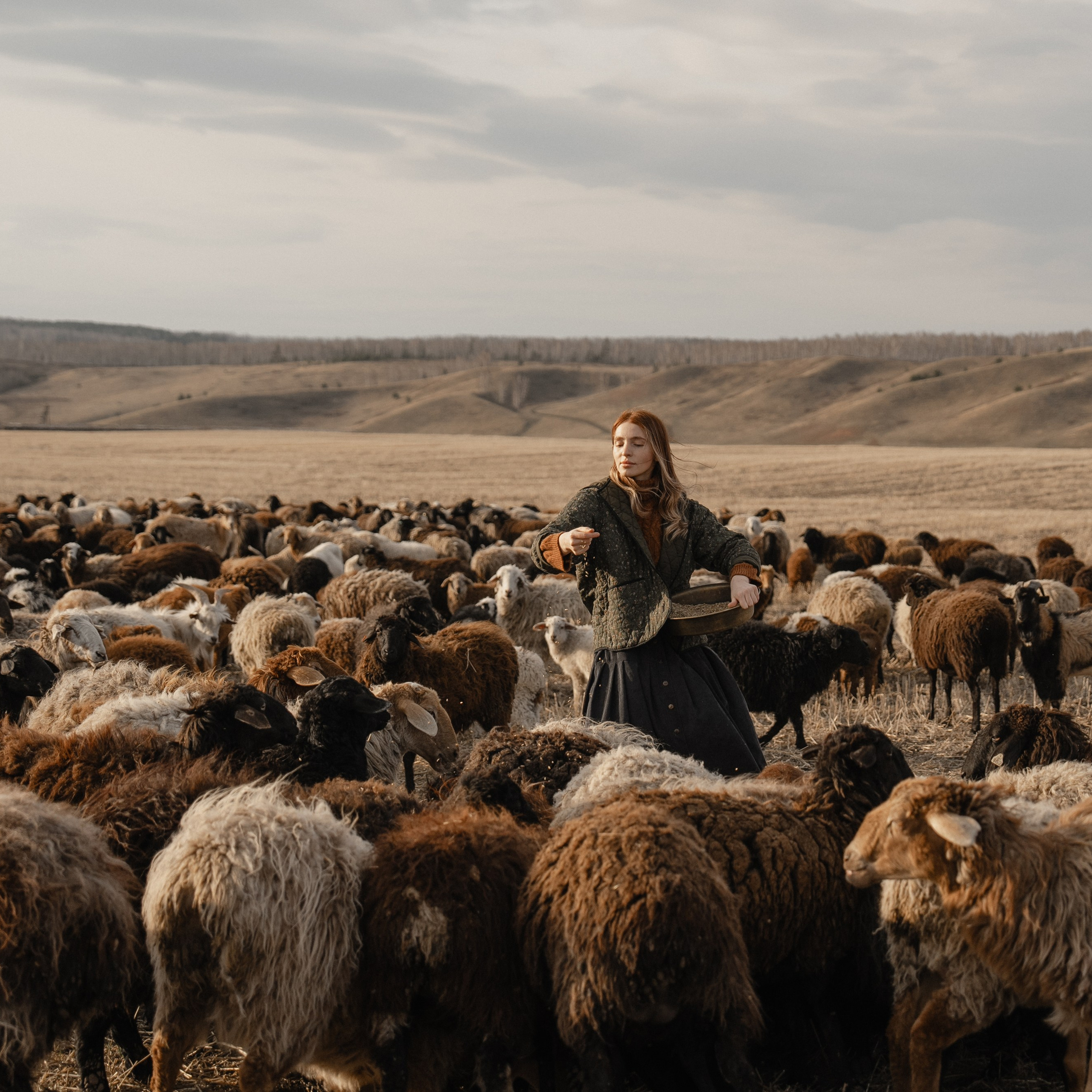 Альпийская история