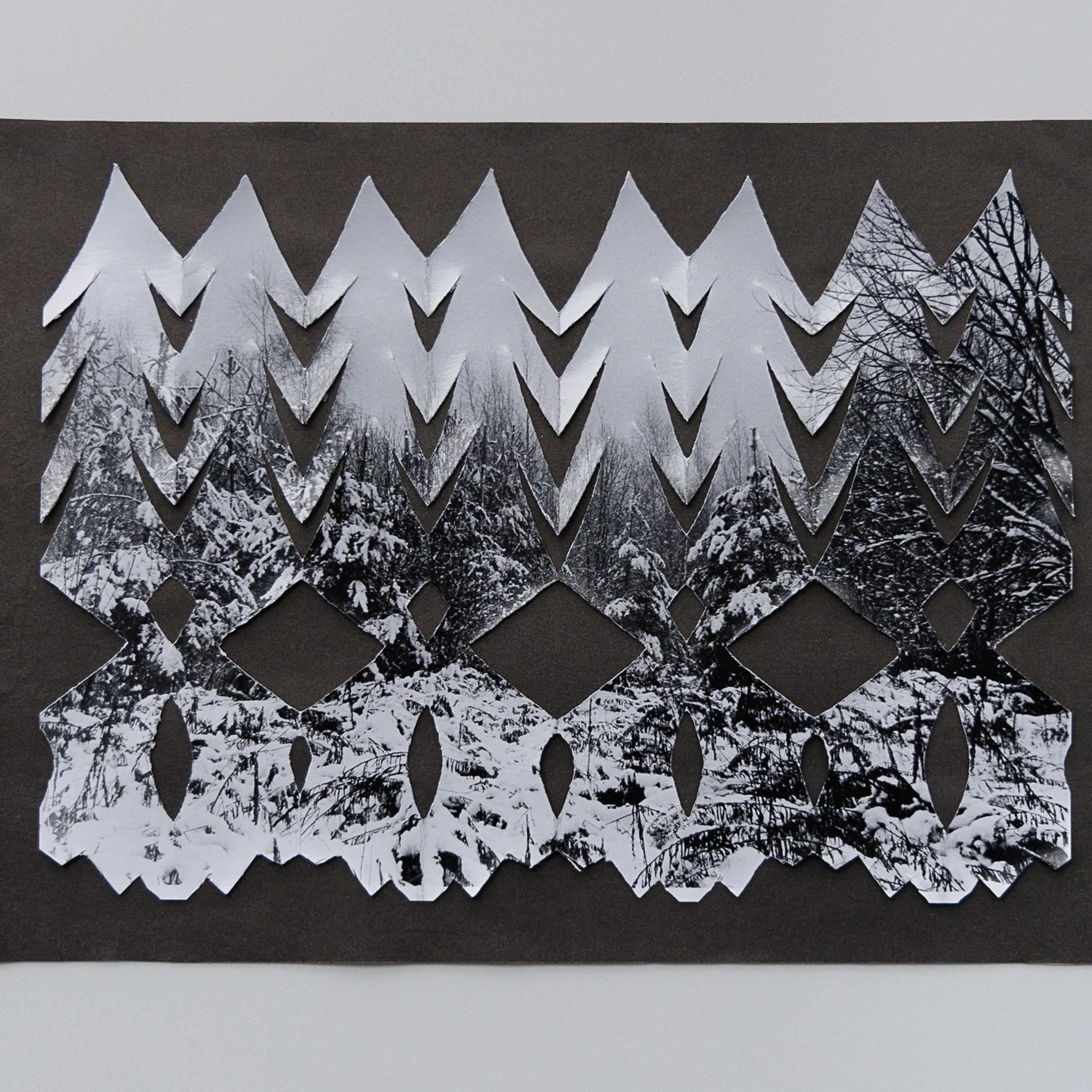 Вытинанка. Юлия Леонова — фотограф, визуальный художник Минск