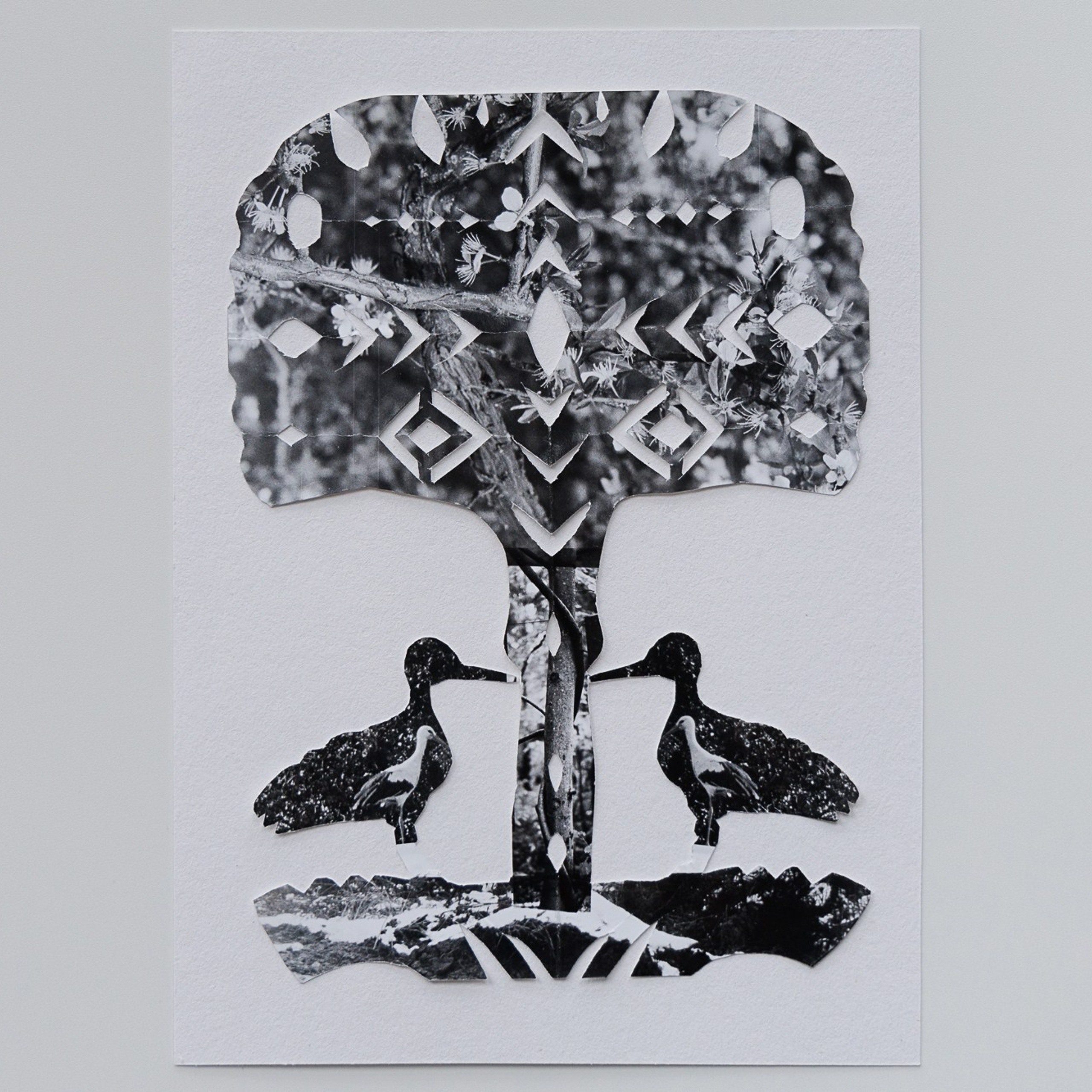 Вытинанка. Юлия Леонова — фотограф, визуальный художник Минск