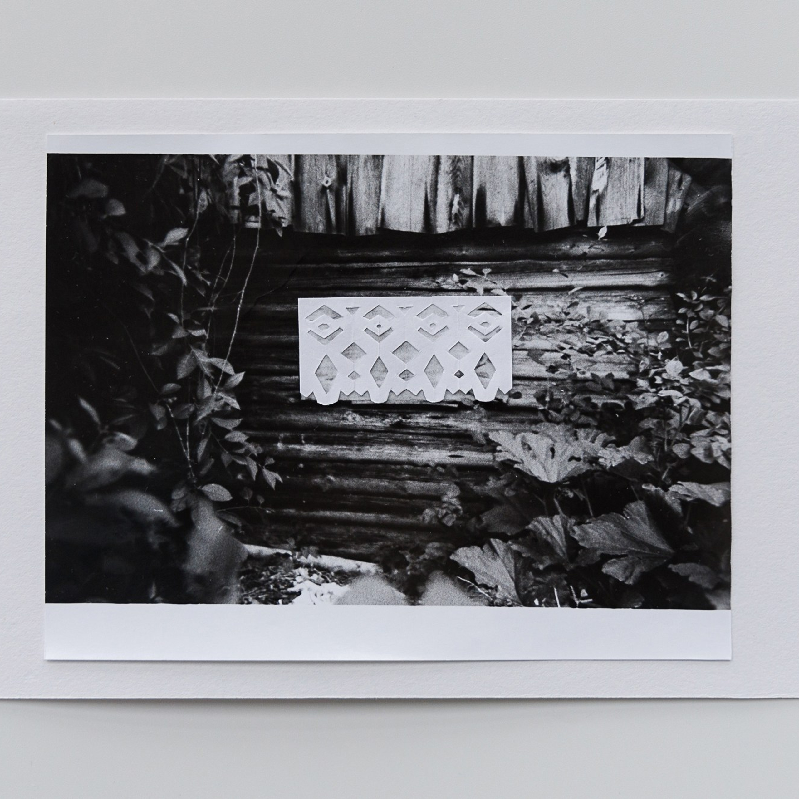 Вытинанка. Юлия Леонова — фотограф, визуальный художник Минск