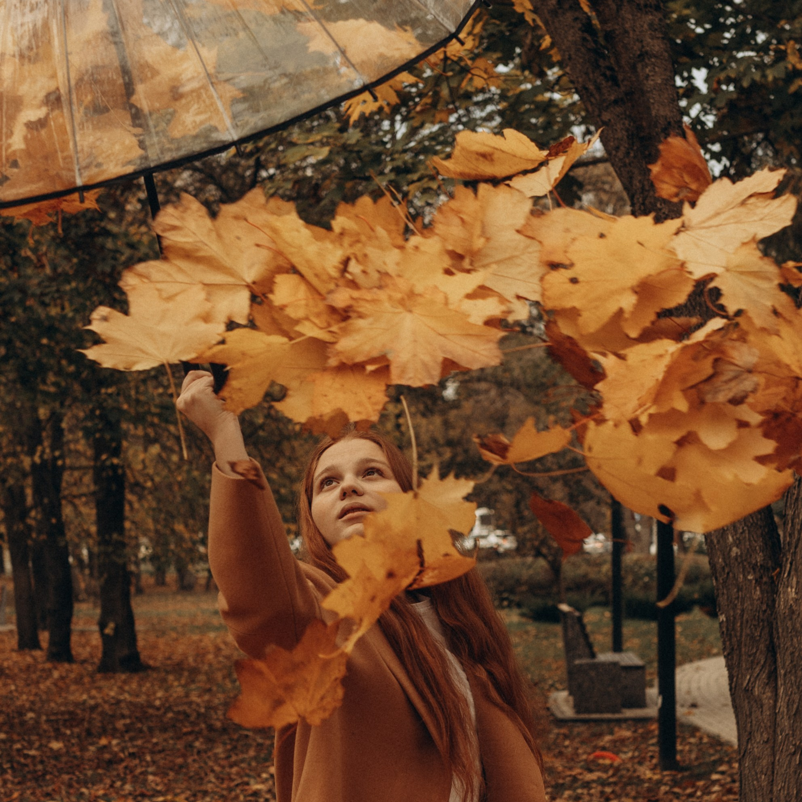 Золотая осень. Индивидуальная съёмка.