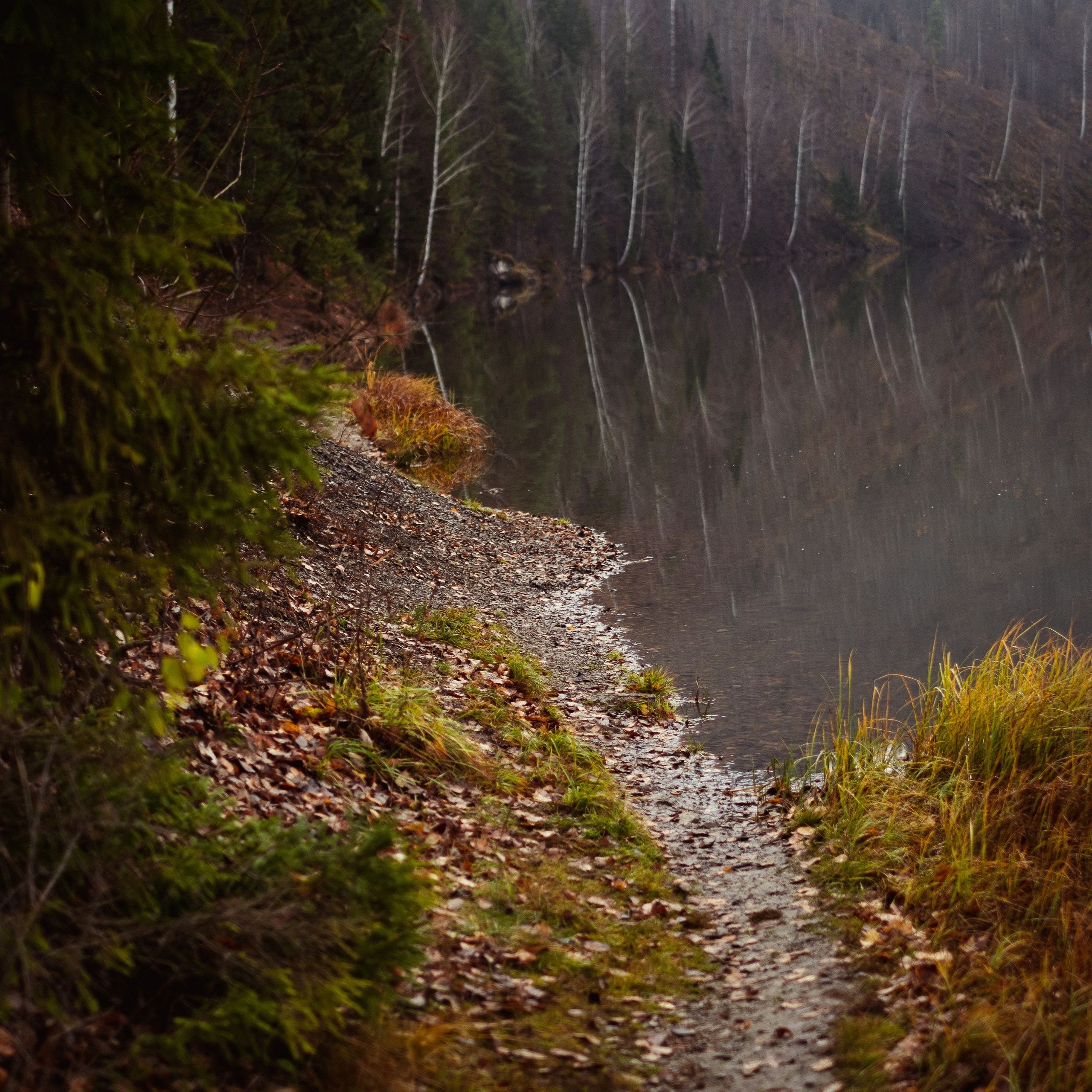 Dasha. Anastasia N | Фотограф Челябинск